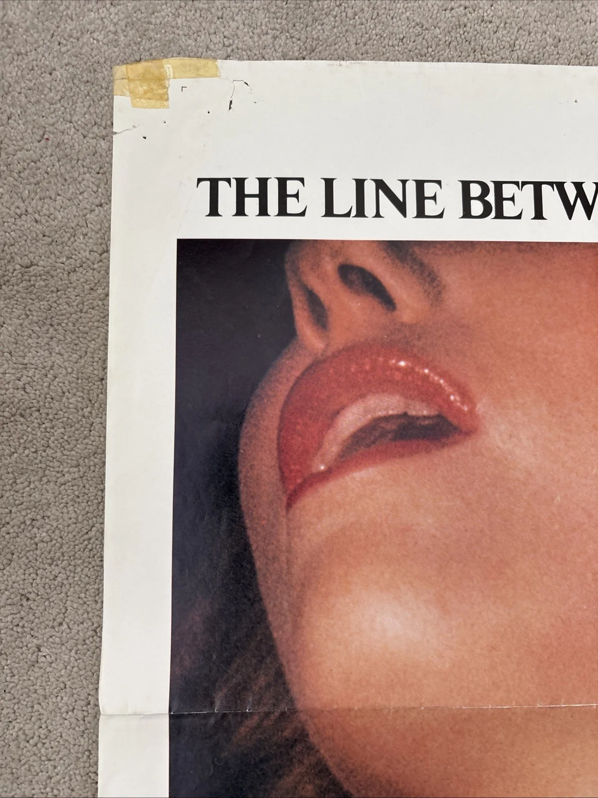 Bloodline (1979) Original US One Sheet Movie Poster, image 2
