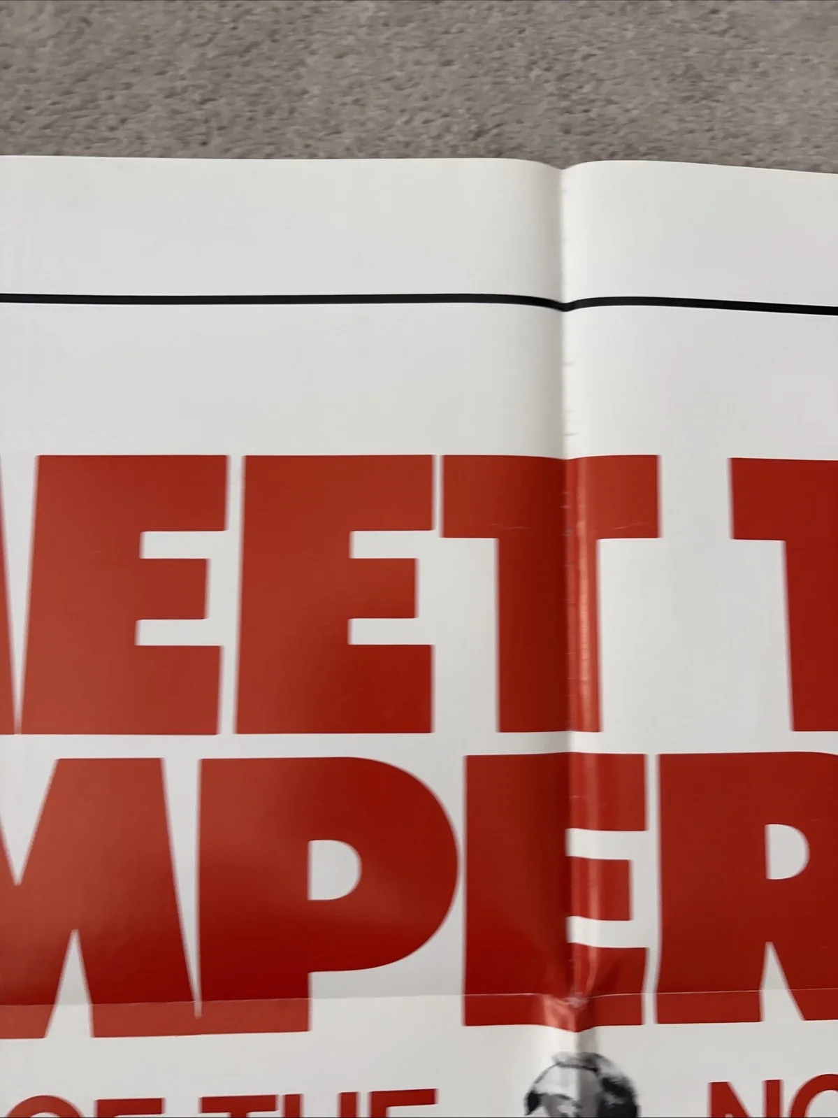 Emperor Of The North (1973) Original US One Sheet Movie Poster, изображение 3