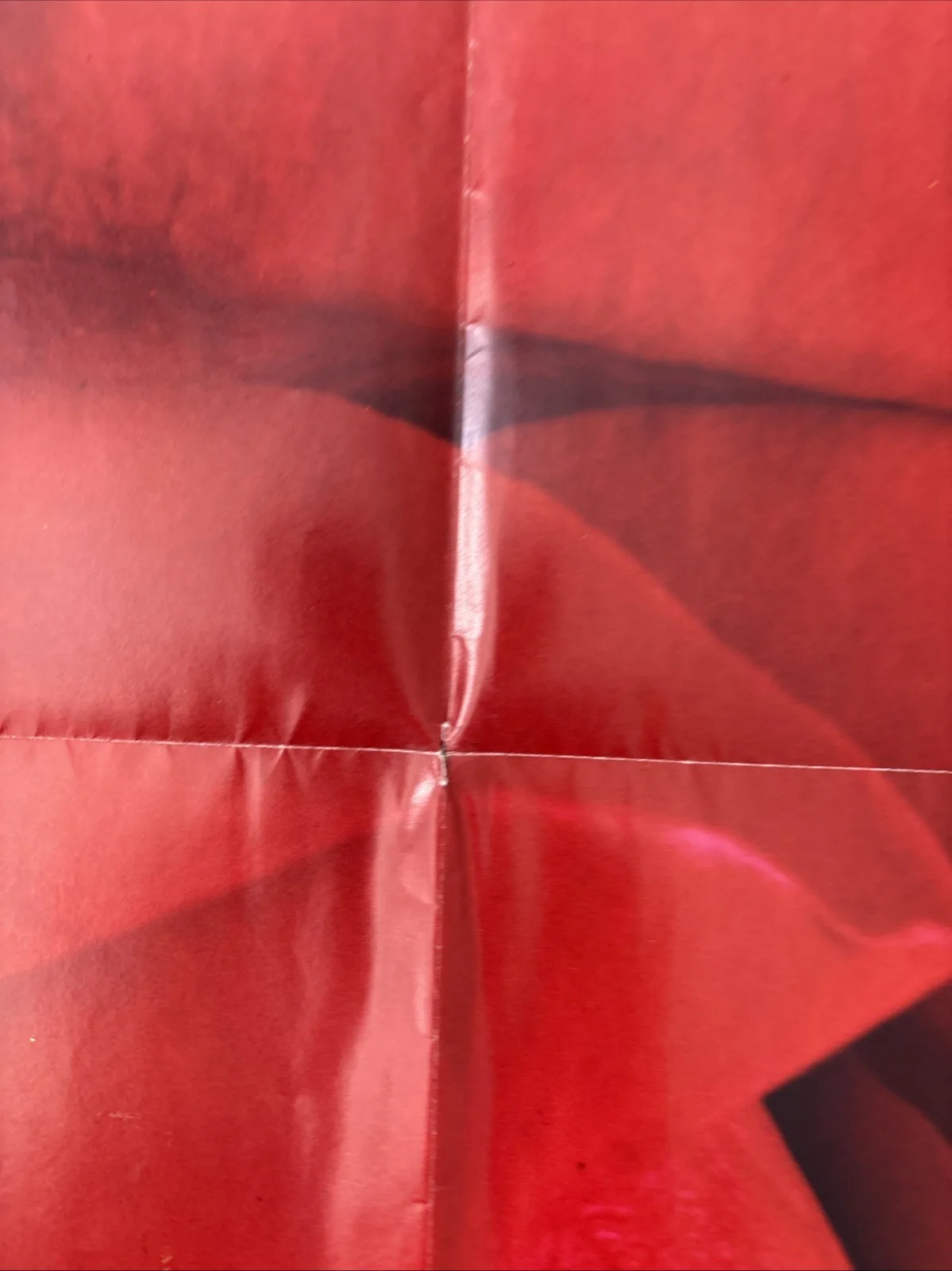 The Rose (1979) Original US One Sheet Movie Poster, изображение 5