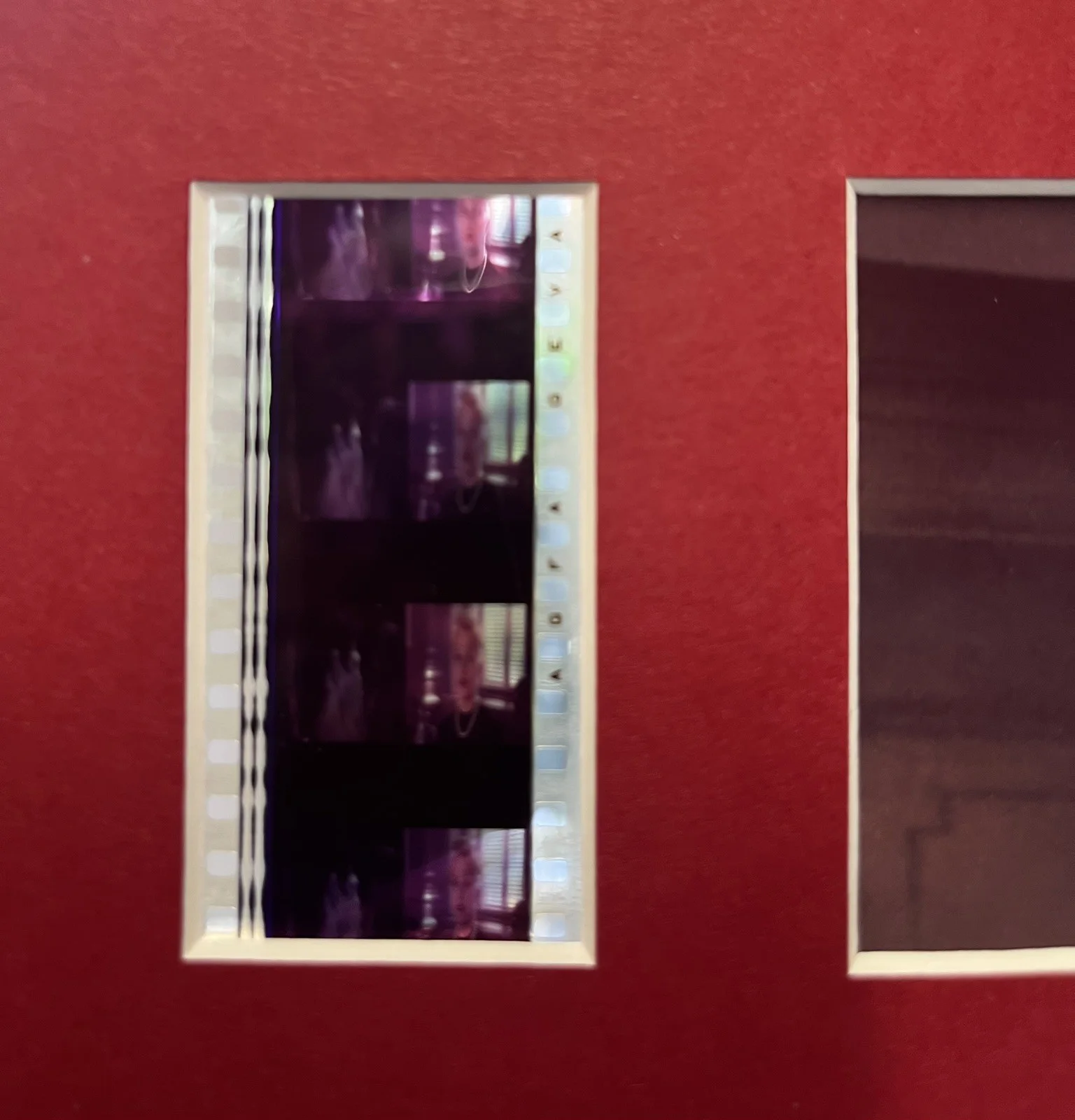 BODY OF EVIDENCE . 35mm Film Cell Mounted Display, изображение 3