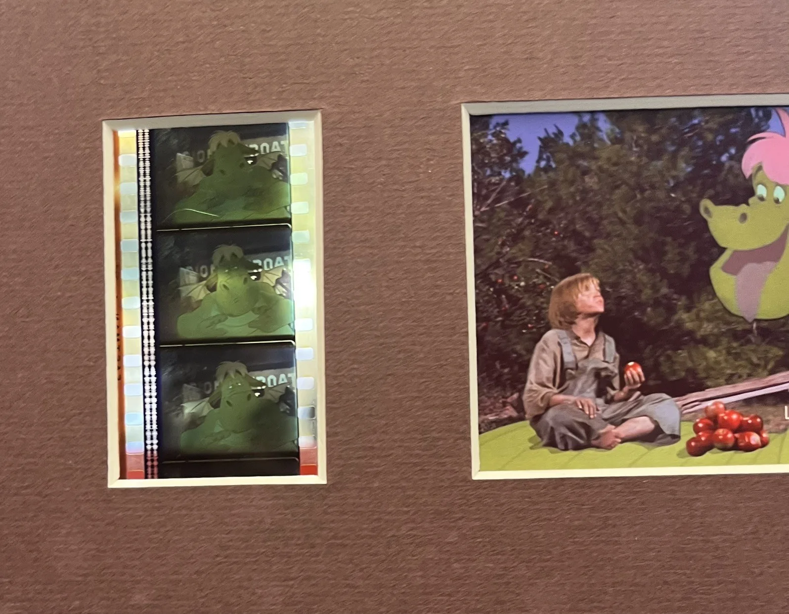 PETE’S DRAGON . 35mm Film Cell Mounted Display, image 3