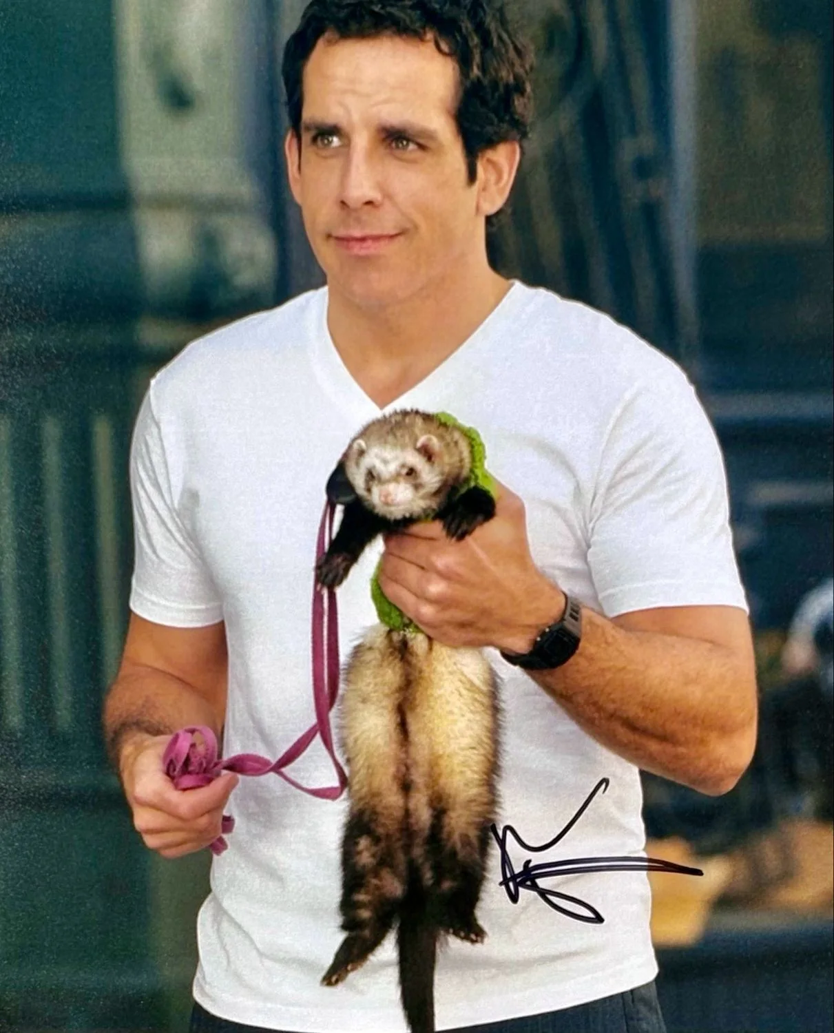 Ben Stiller Signed Photo Framed & SWAU COA Along Came Polly Movie Poster Auto, изображение 5