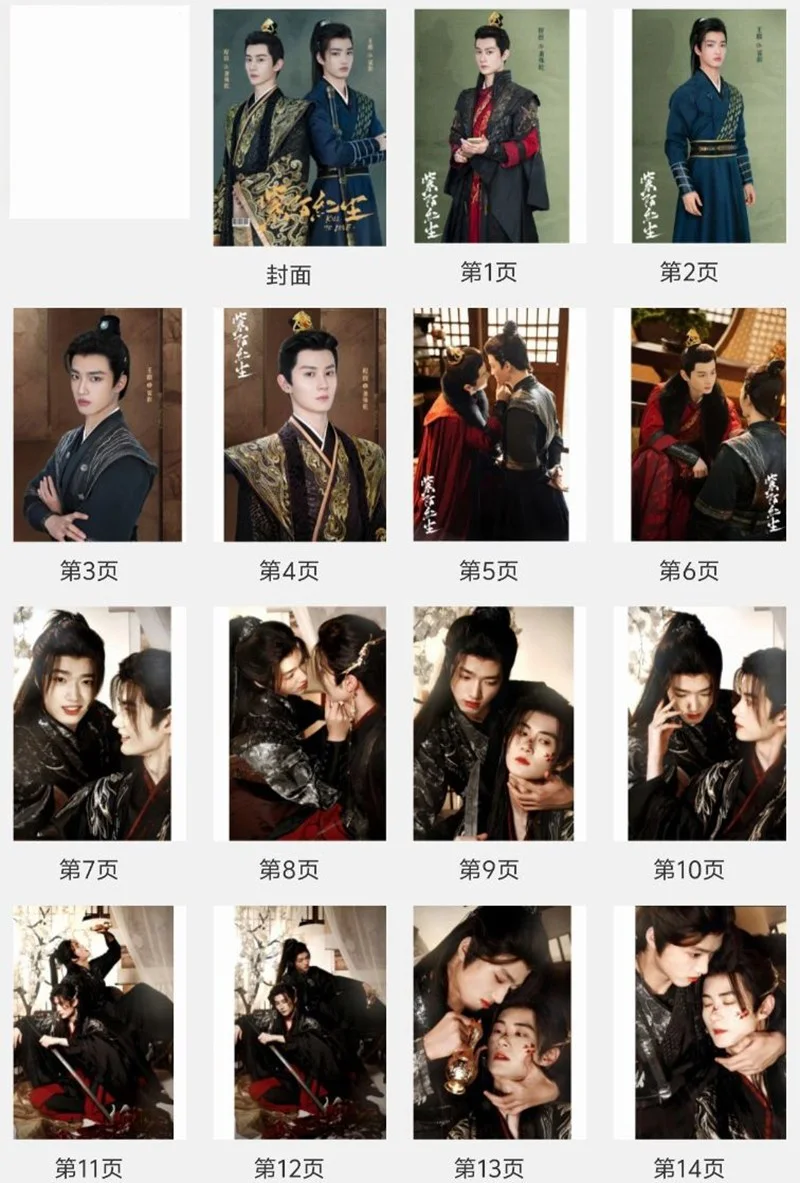 Chinese 紫陌红尘 Kill to Love Wang Ding Cheng Fang Pictures Book Album Photobook, изображение 2