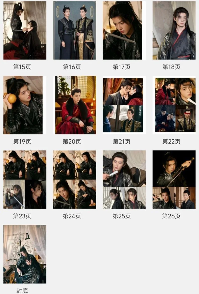 Chinese 紫陌红尘 Kill to Love Wang Ding Cheng Fang Pictures Book Album Photobook, изображение 3