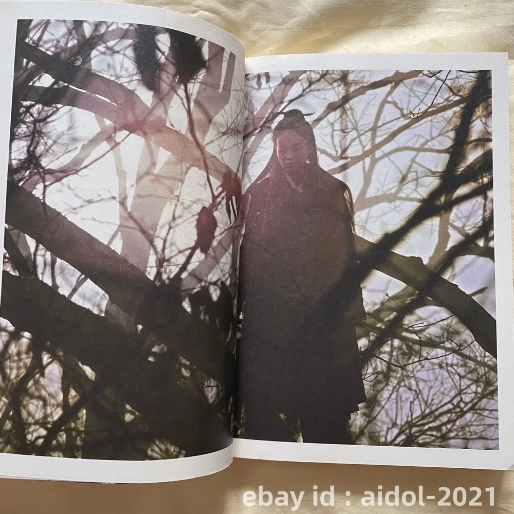 Hou Hsiao-hsien Autographed The Assassin Book 行云纪：《刺客聂隐娘》拍摄侧录 2015, image 5