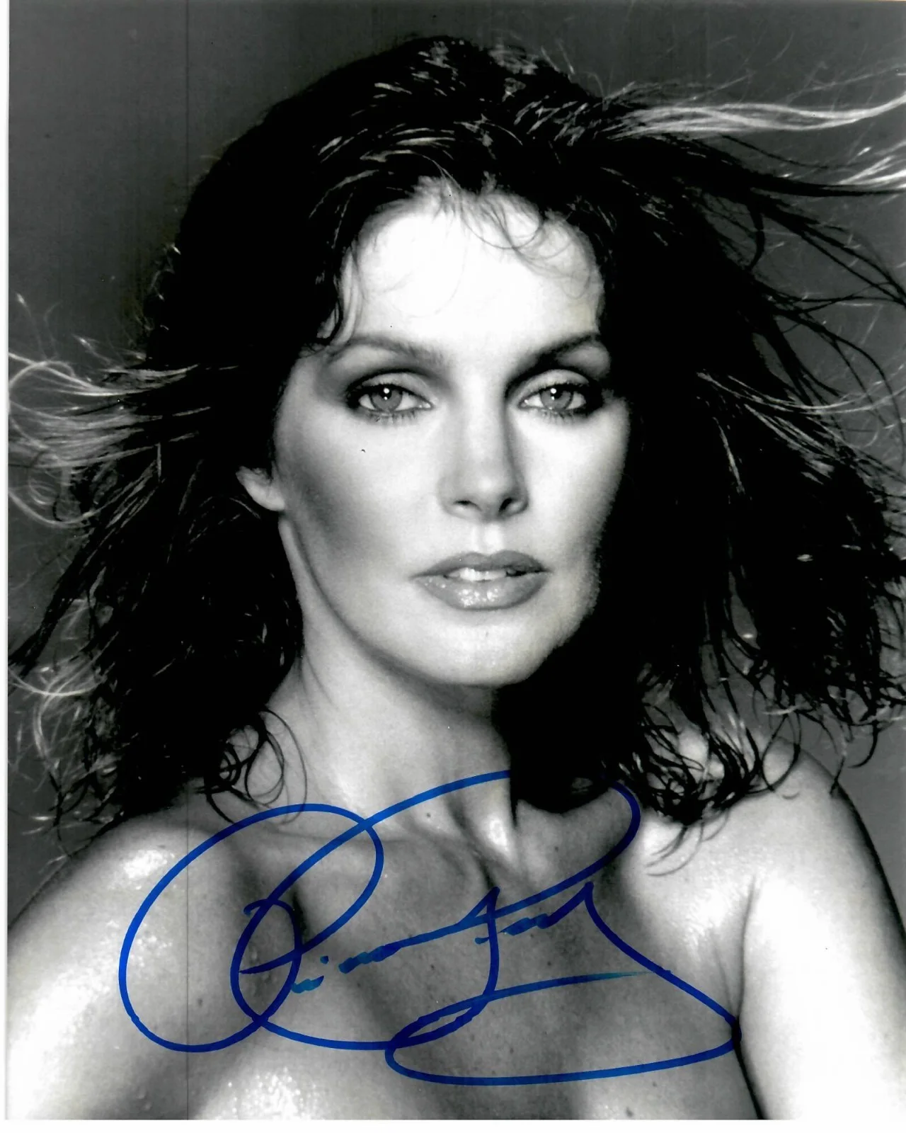 Priscilla Presley — Priscilla Presley Actress Naked Gun Businesswoman Signed 8 x 10 Photo TTM COA