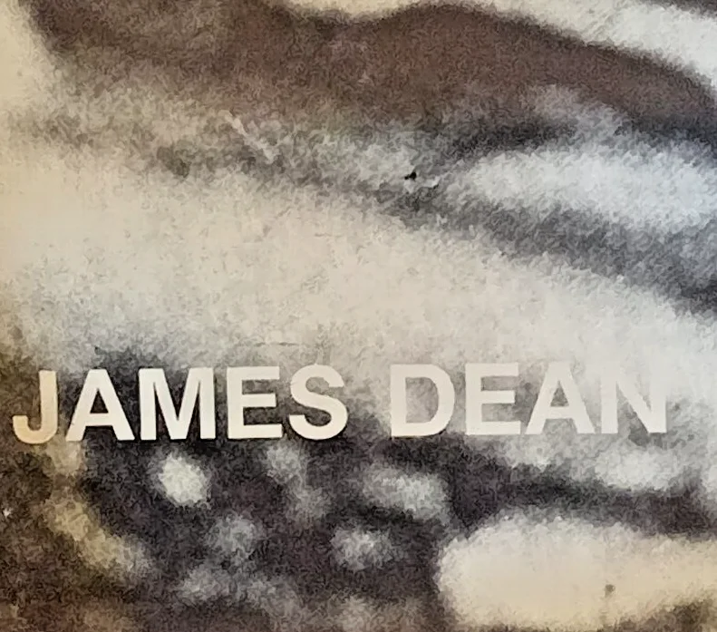 James Dean b/w poster by Danrose Posters 98 x 68 cms, image 4