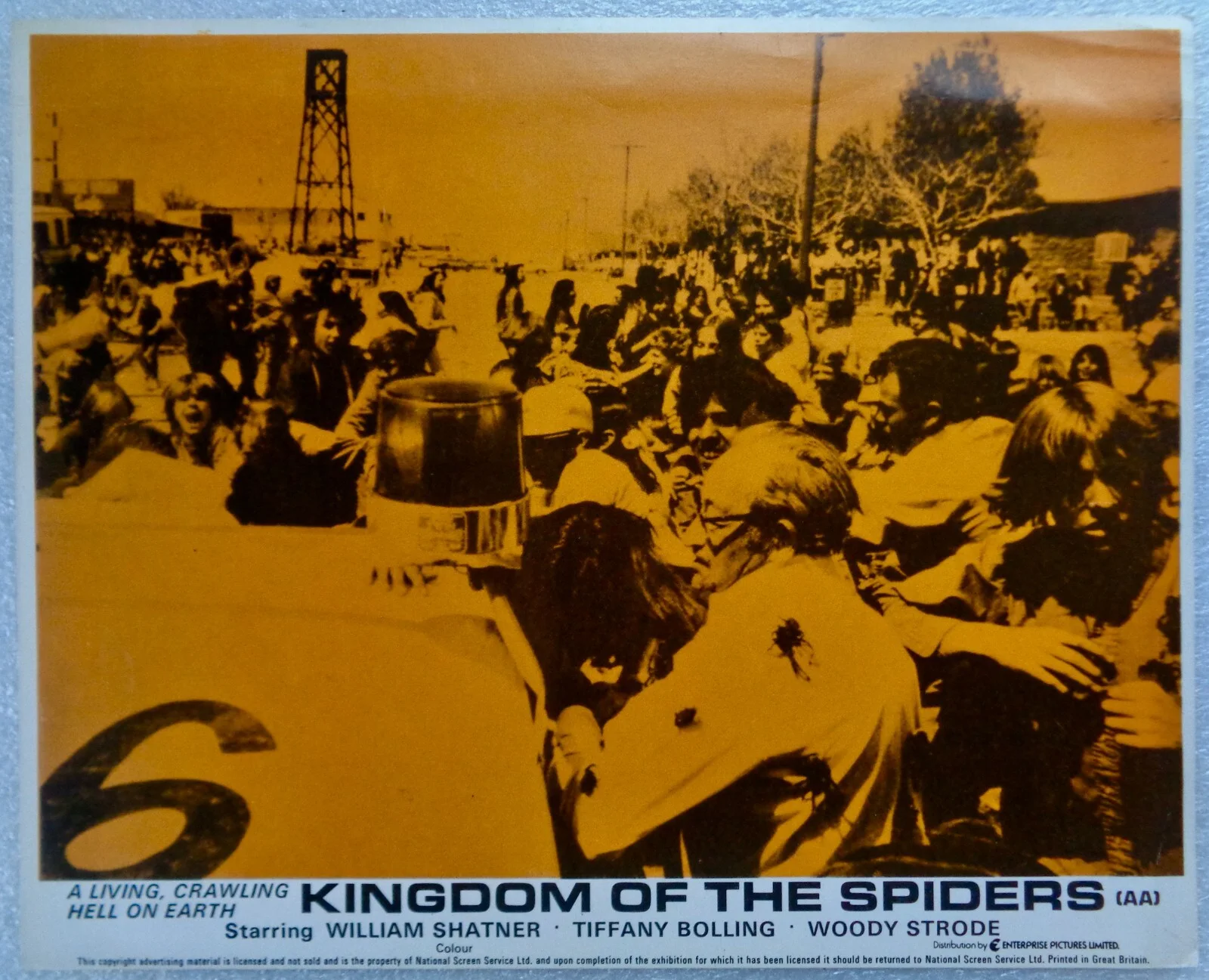 1977 KINGDOM OF THE SPIDERS - Lobby Card 10x8 - William Shatner- Tiffany Bolling, изображение 2