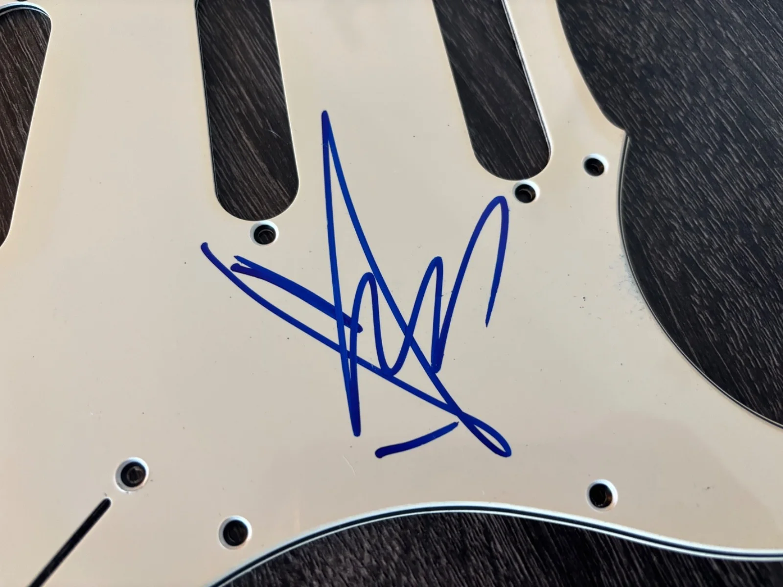 CHRIS CORNELL SIGNED AUTOGRAPHED GUITAR PICKGUARD *EXACT PROOF* RARE SOUNDGARDEN, изображение 2