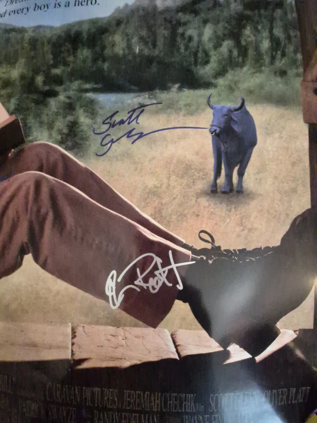 SEE BELOW — TALL TALE-PECOS BILL signed SHEET MOVIE POSTER-w/COA 2 SIDED ekim, image 5