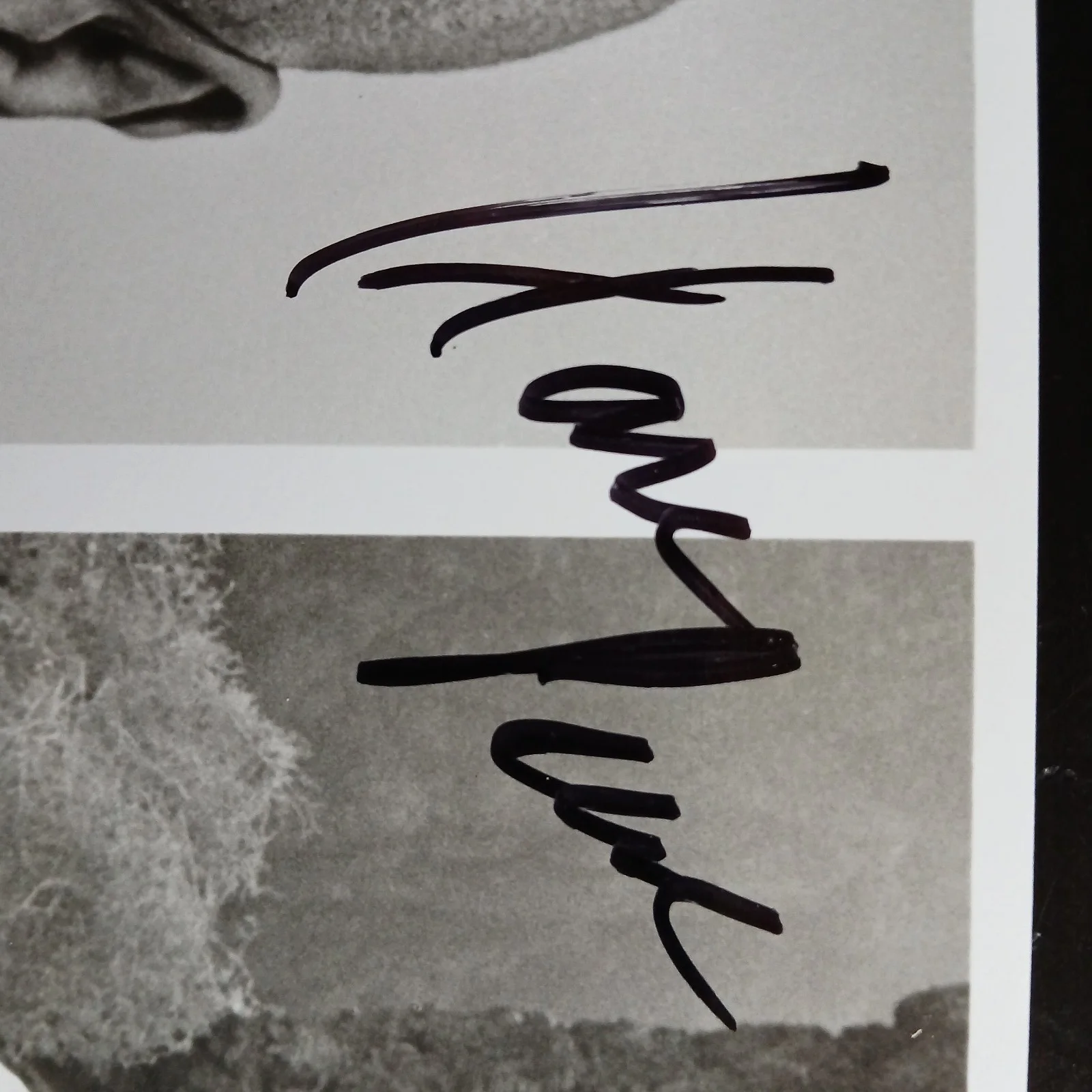 louis gossett Jr — louis gossett jr signed 10x8 enemy mine photo an officer and a gentleman, изображение 3