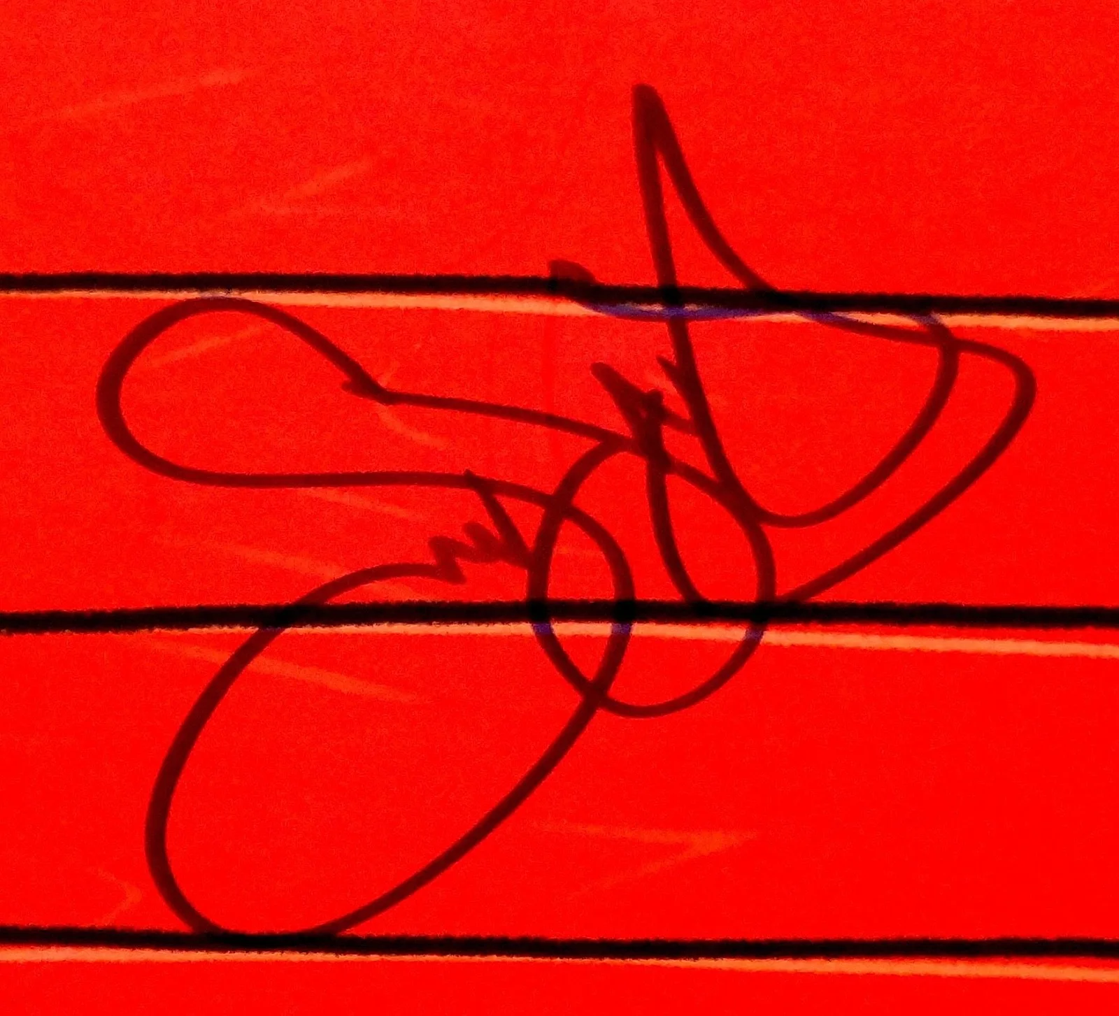SNOOP DOGGY DOGG HAND SIGNED AUTOGRAPHED DOGGYSTYLE KIT ALBUM BOX SET! PROOF+COA, изображение 2