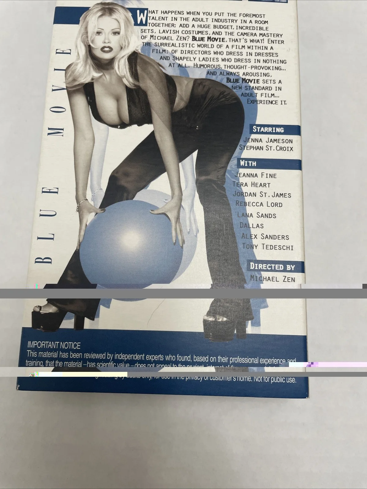 VHS BLUE MOVIE JENNA JAMESON, image 2