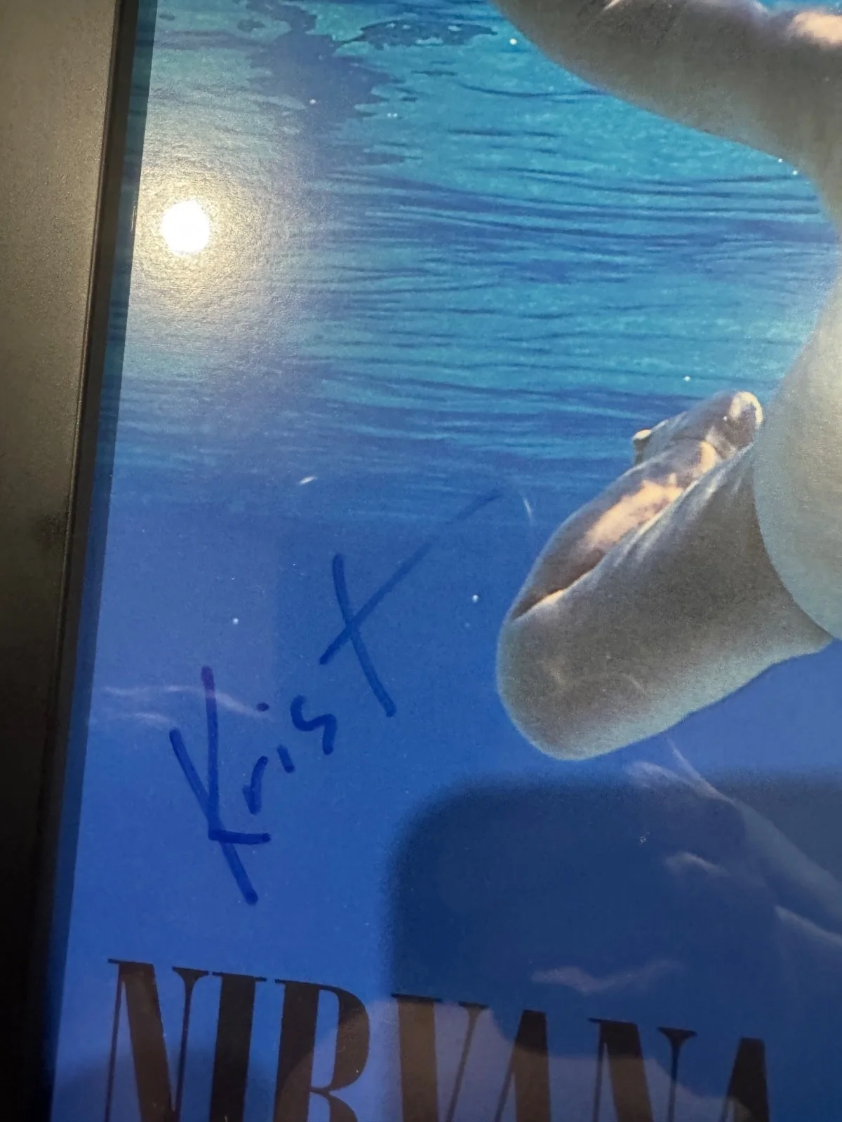 Nirvana autographed never mind album signed by krist and Dave, image 4