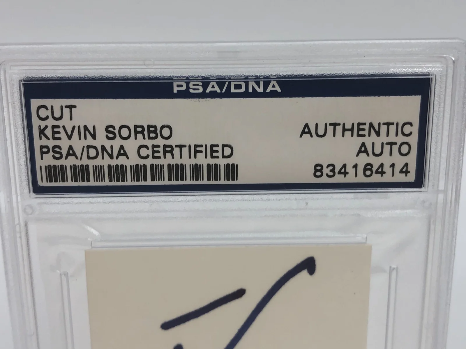 KEVIN SORBO — KEVIN SORBO PSA AUTO Authentic Signed Index Card TV Actor ANDROMEDA HERCULES, image 5