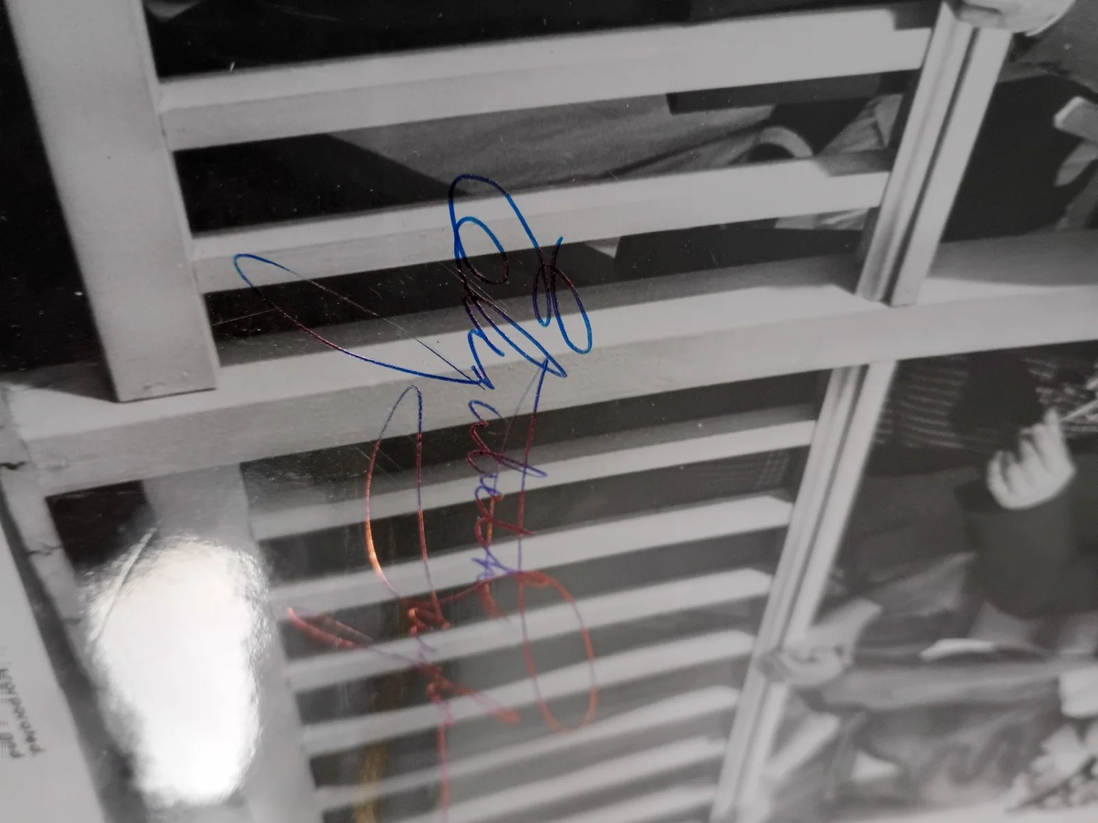 ELIZABETH TAYLOR HAND SIGNED AUTOGRAPH : MOVIE STILL PHOTO RAINTREE COUNTY, image 4