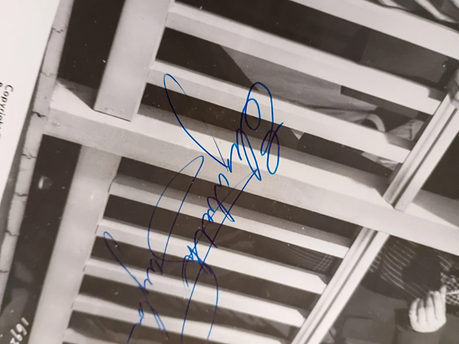 ELIZABETH TAYLOR HAND SIGNED AUTOGRAPH : MOVIE STILL PHOTO RAINTREE COUNTY, image 5