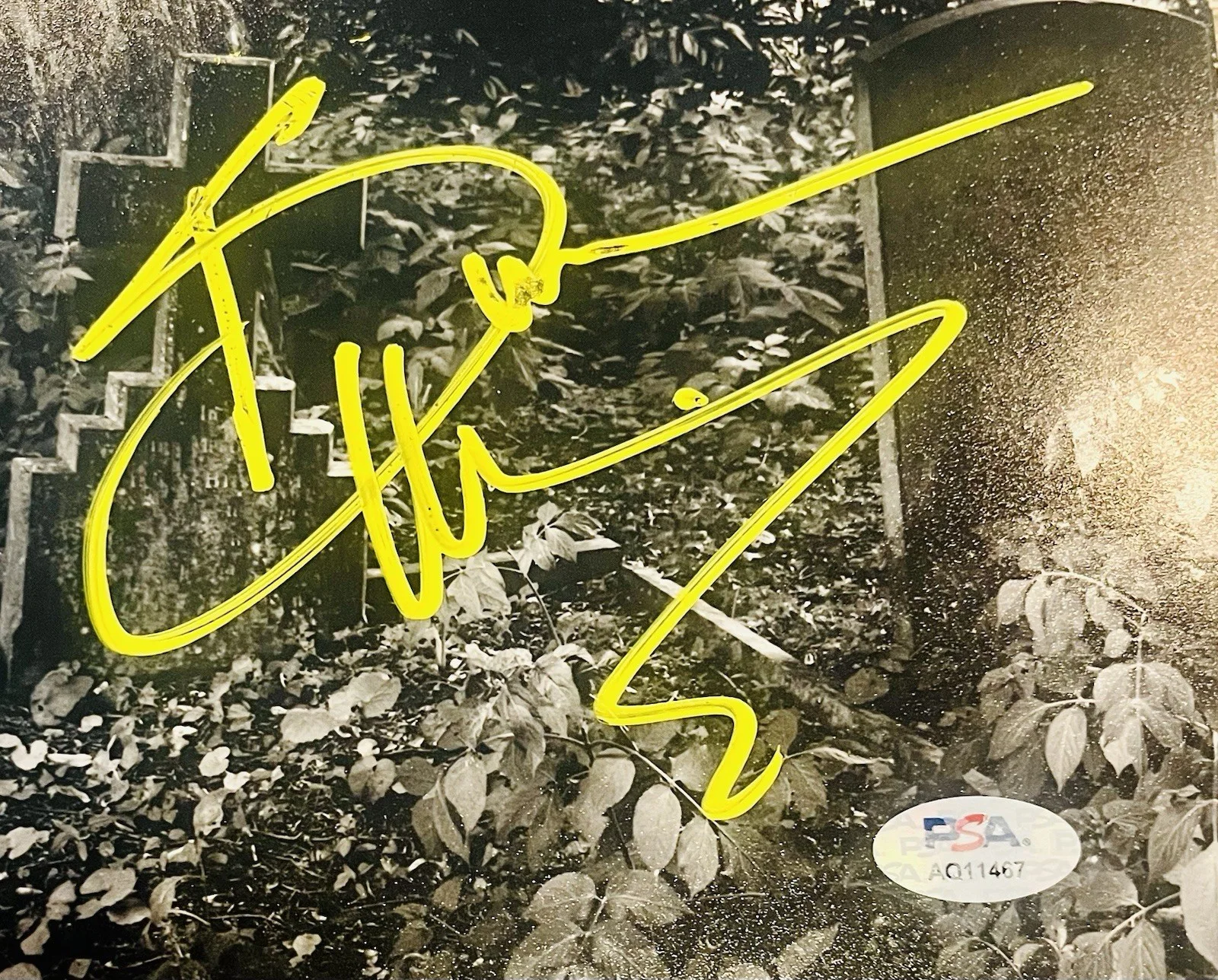 Bruce Dickenson Iron Maiden Large/Bright Signed 8x10 Photo Autograph PSA/DNA, изображение 2