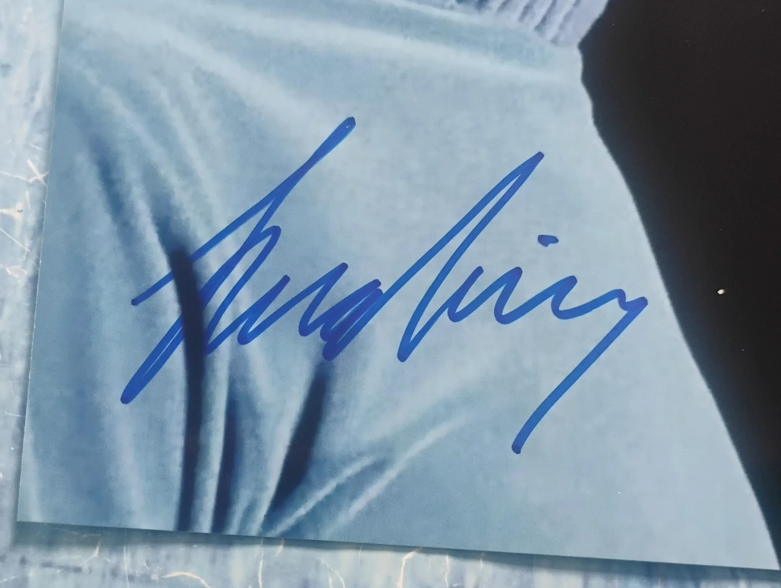 Leonard Nimoy Hand Signed Autograph 8x10 Photo COA Star Trek Spock NO US TARIFFS, изображение 3