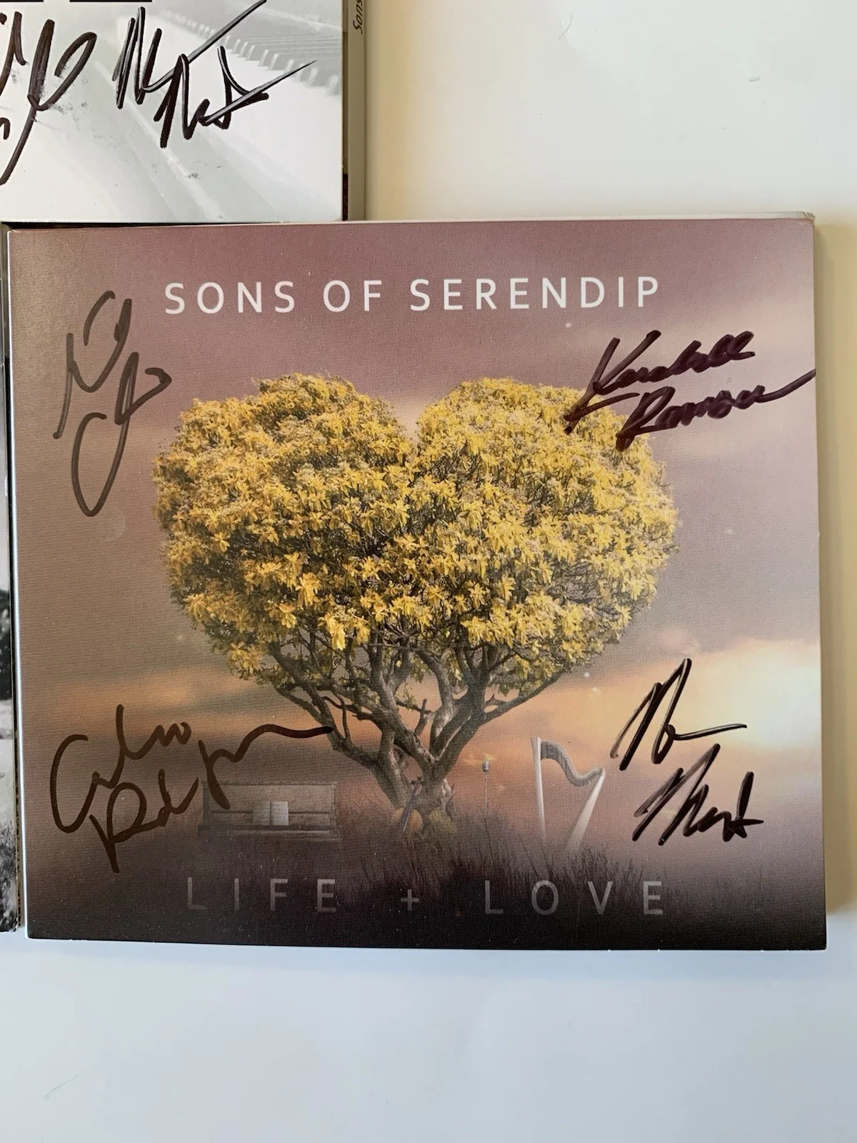 Sons of Serendip SIGNED CD Bundle (3) - Rare Autographed - AGT Finalists, image 4