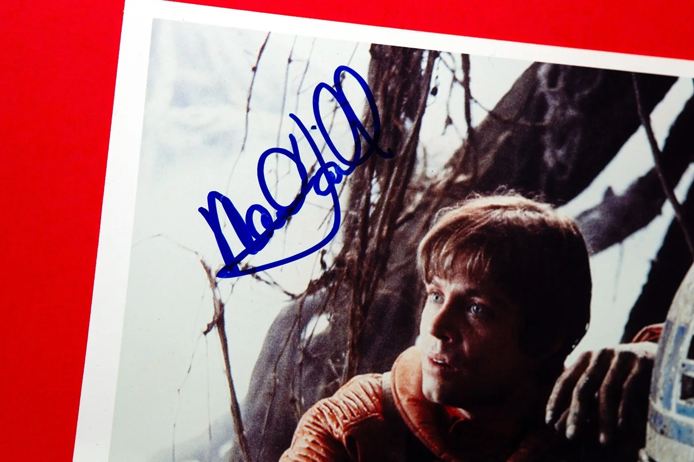 mark hamill — Mark Hamill Star Wars Autographed Signed 8x10 Photo - IN PERSON, изображение 3