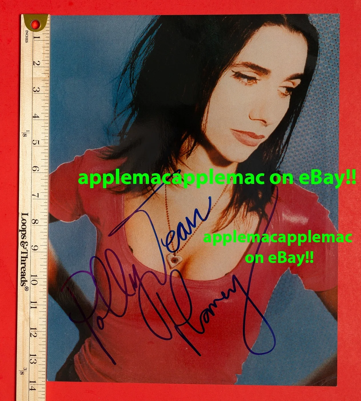PJ Harvey Signed 11x14 COLOR PHOTO - IN PERSON, image 3