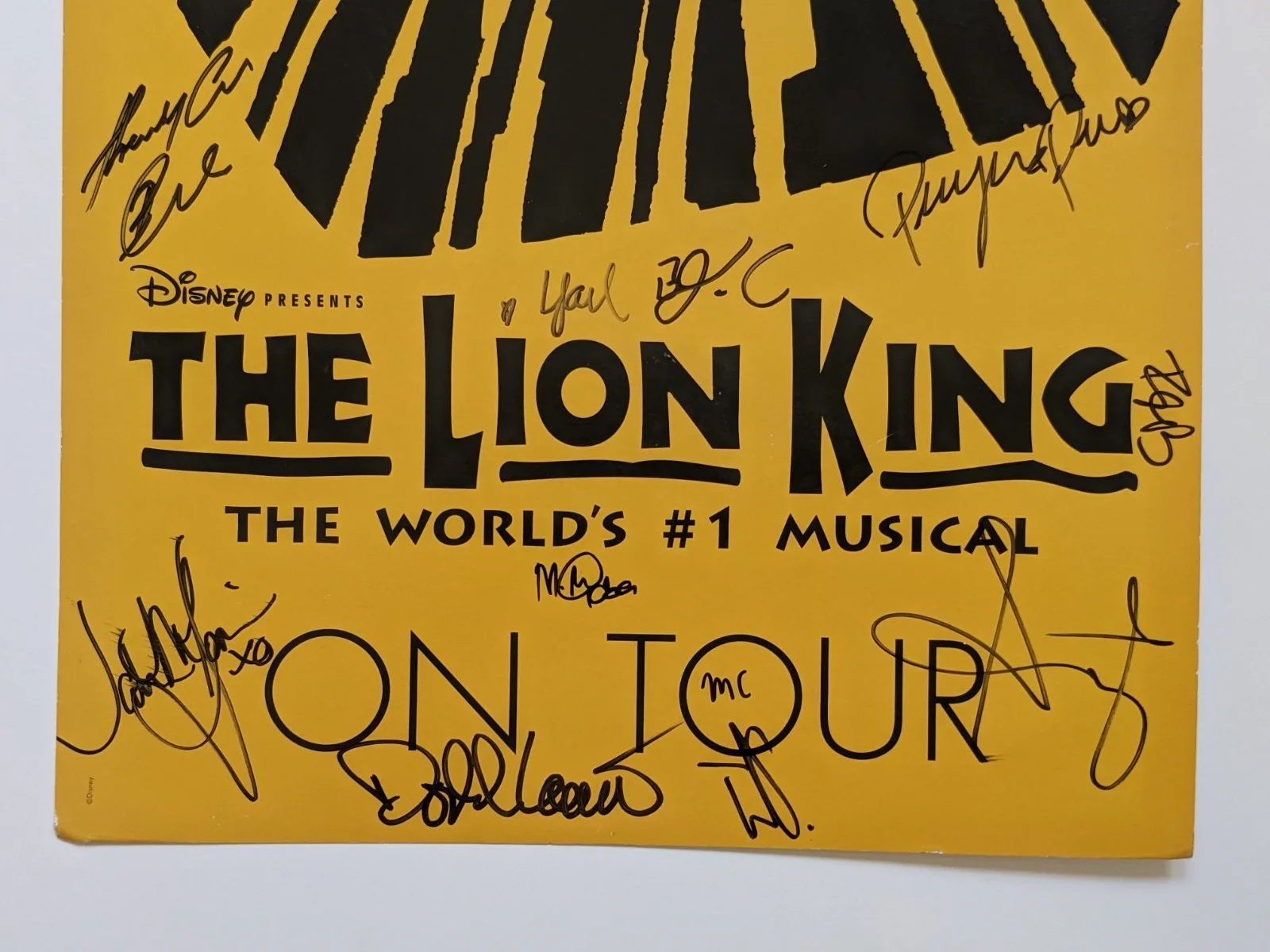 THE LION KING MUSICAL Cast SIGNED POSTER Disney TOUR Broadway 14" by 22" Unframe, image 3
