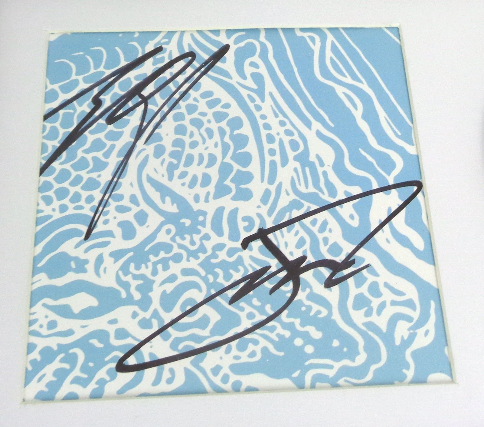 Twenty One Pilots — 21 Twenty One Pilots Signed Autograph Scaled And Icy CD Framed PSA/DNA COA, image 2