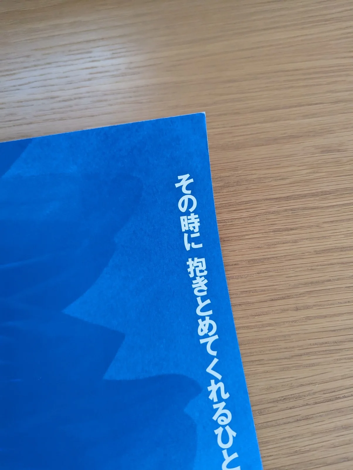 Takeshi Kitano Hana-Bi Fireworks Movie Poster B2 Size Original, изображение 5
