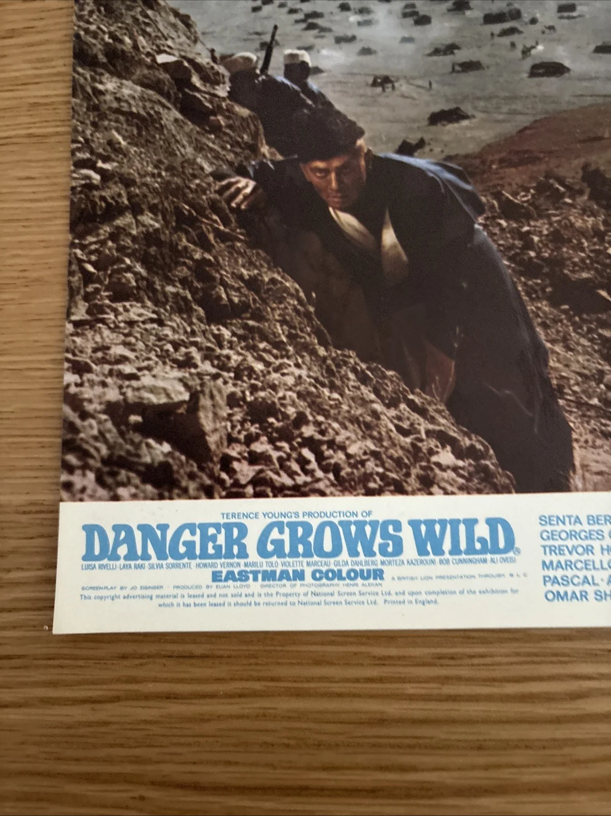 DANGER GROWS WILD Movie 10 x 8 Lobby Cards Set of 3 Brynner Dickinson Eastman, изображение 2