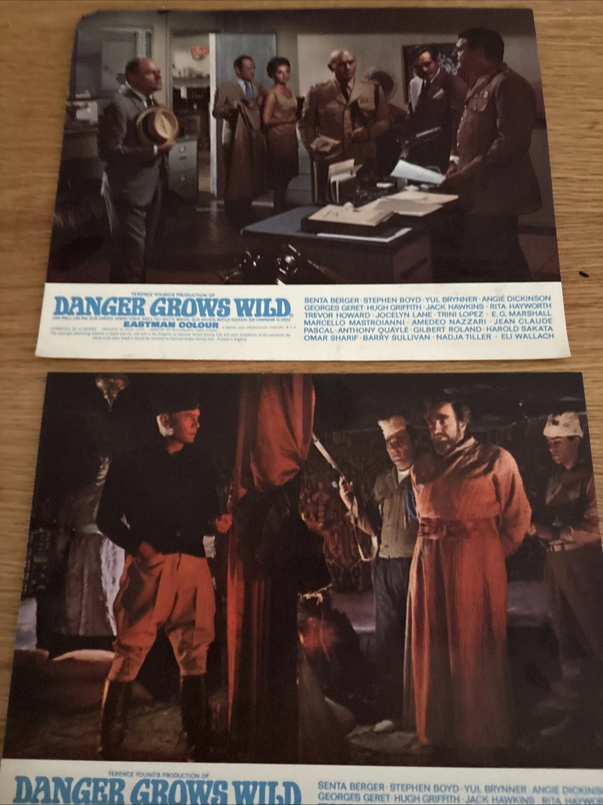 DANGER GROWS WILD Movie 10 x 8 Lobby Cards Set of 3 Brynner Dickinson Eastman, изображение 3