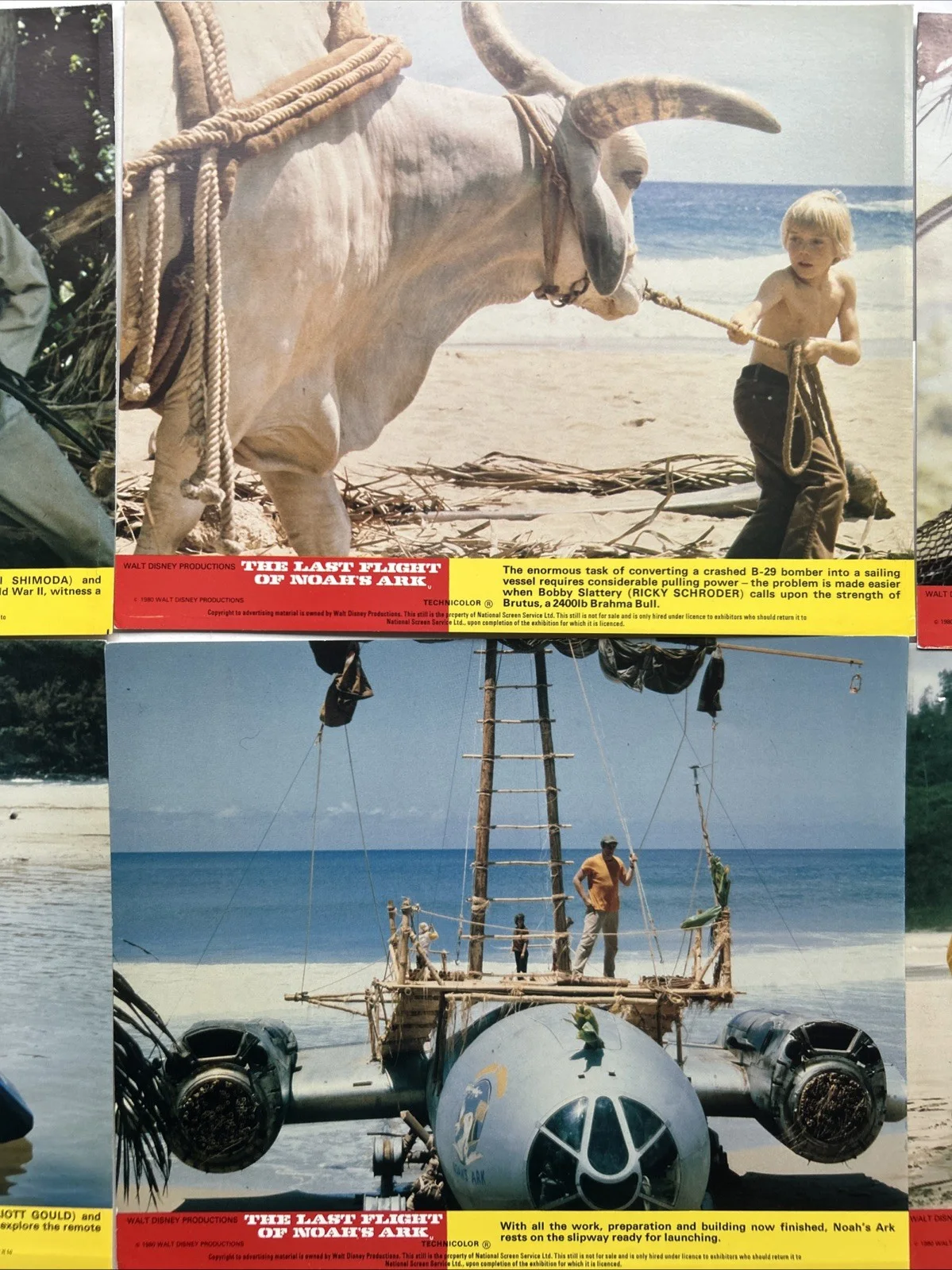 Lobby Card Set 10x8 - The Last Flight of Noah's Ark - 1980 Walt Disney Movie, изображение 3