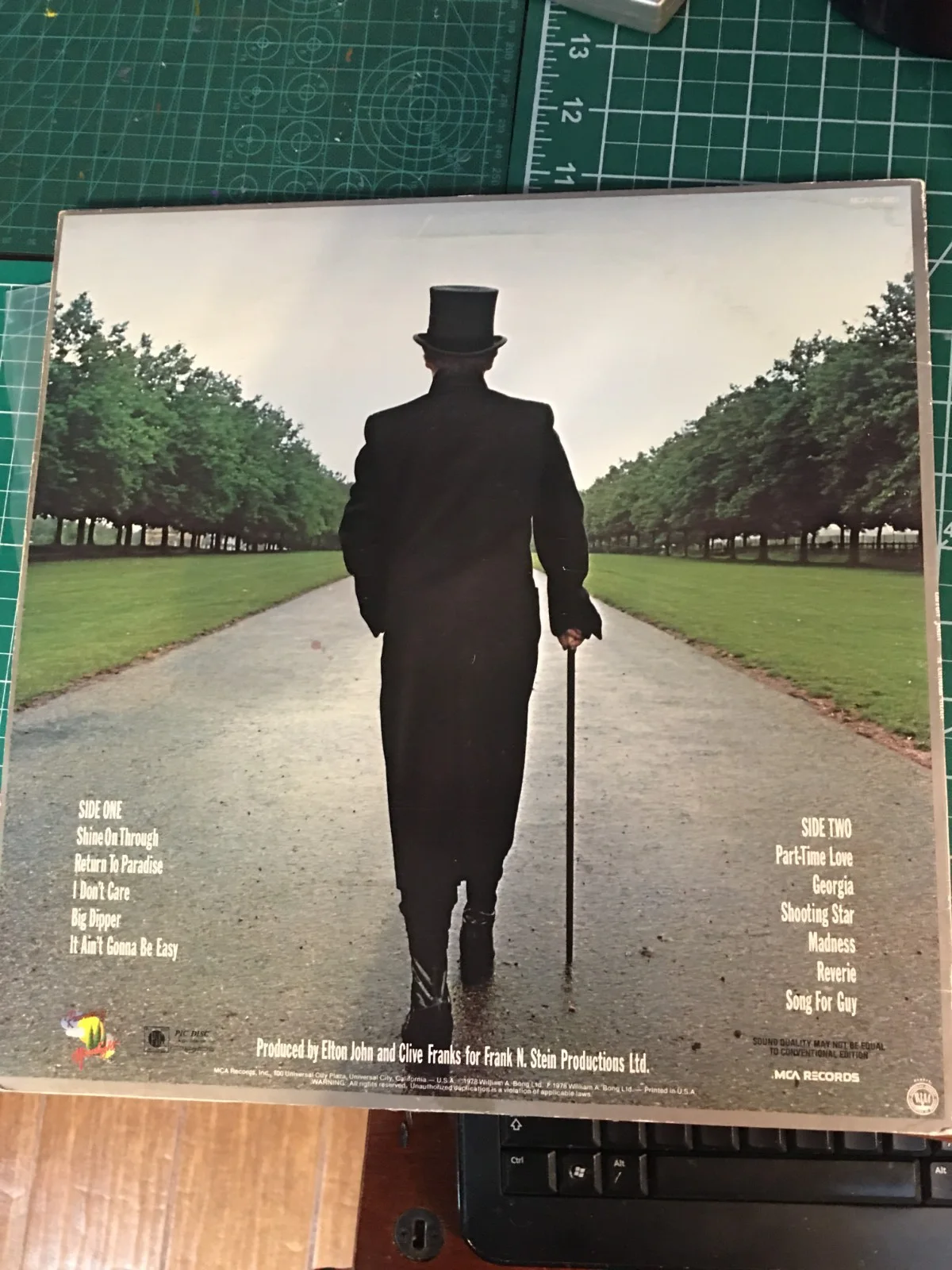 Elton John: " A Single Man" Picture Disc Vinyl LP, image 2