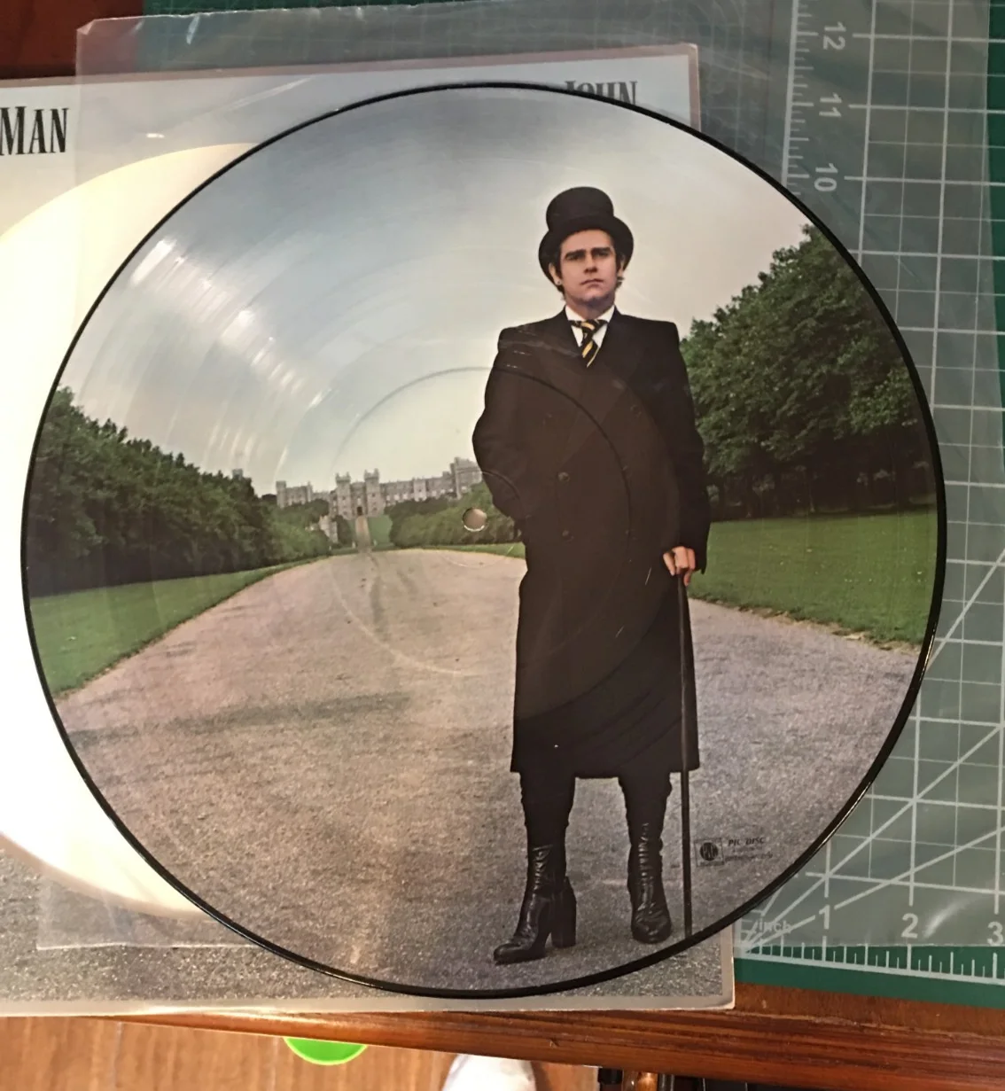 Elton John: " A Single Man" Picture Disc Vinyl LP, image 3