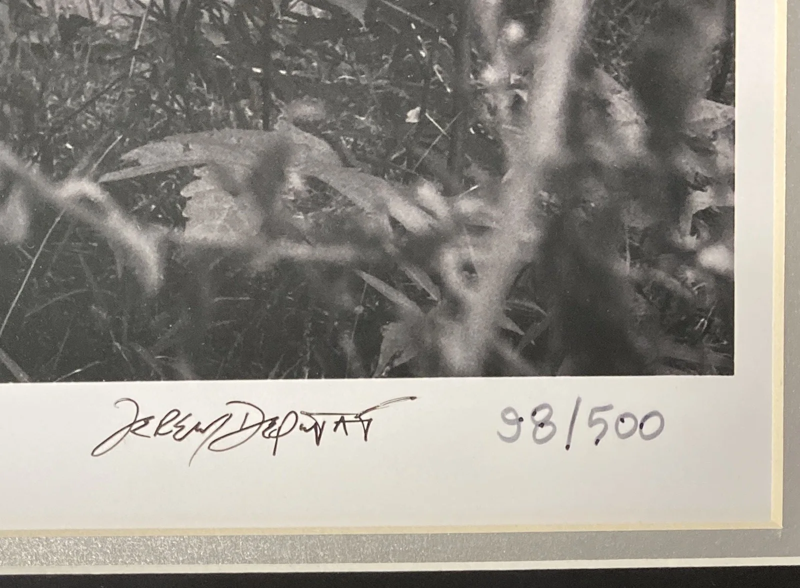 Eminem — Eminem Signed Detroit Childhood Home Lithograph #98/500 – PSA 10 Auto!, изображение 5