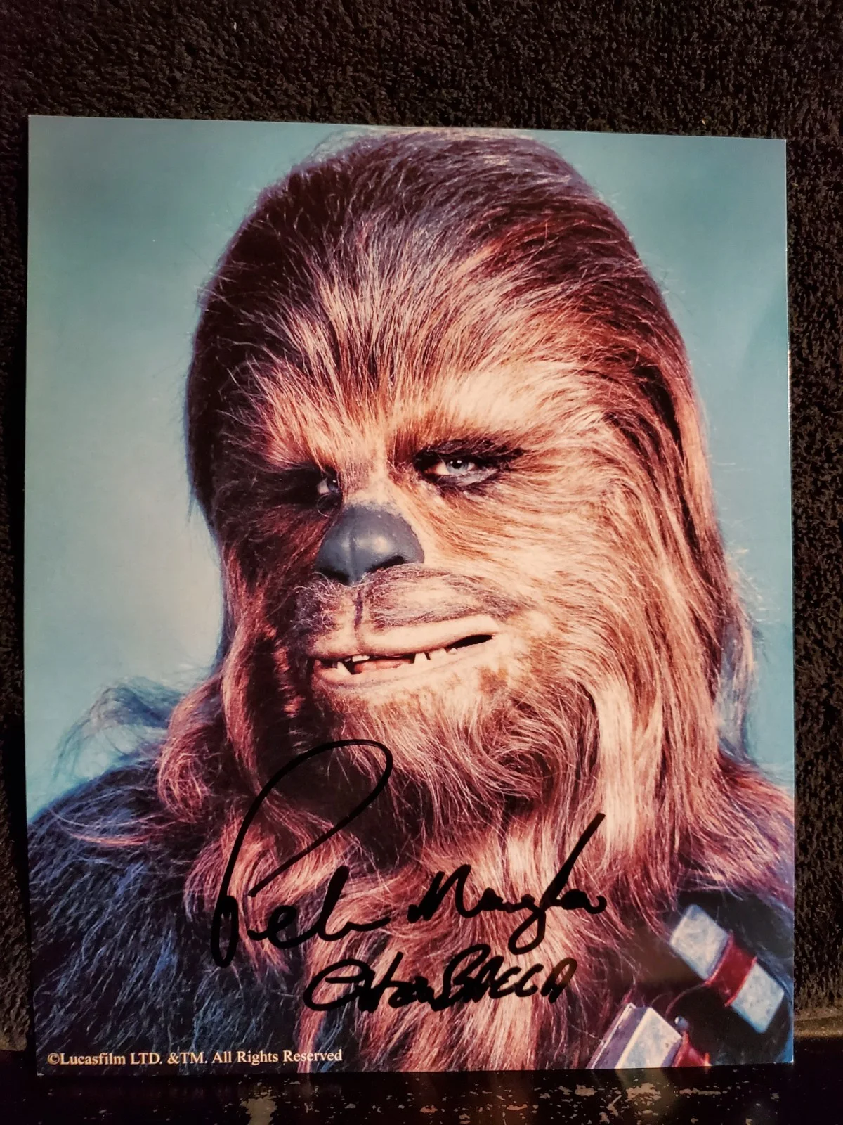 Peter Mayhew — PETER MAYHEW Signed Autograph CHEWBACCA Star Wars 8x10 Photo, image 2