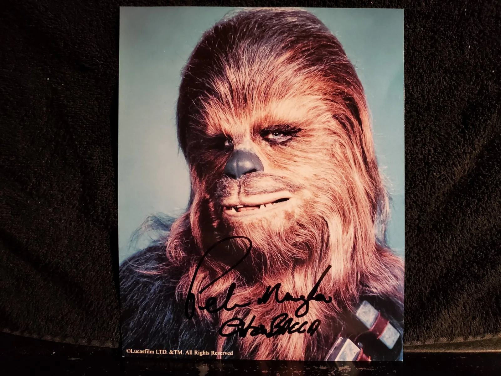 Peter Mayhew — PETER MAYHEW Signed Autograph CHEWBACCA Star Wars 8x10 Photo, image 3