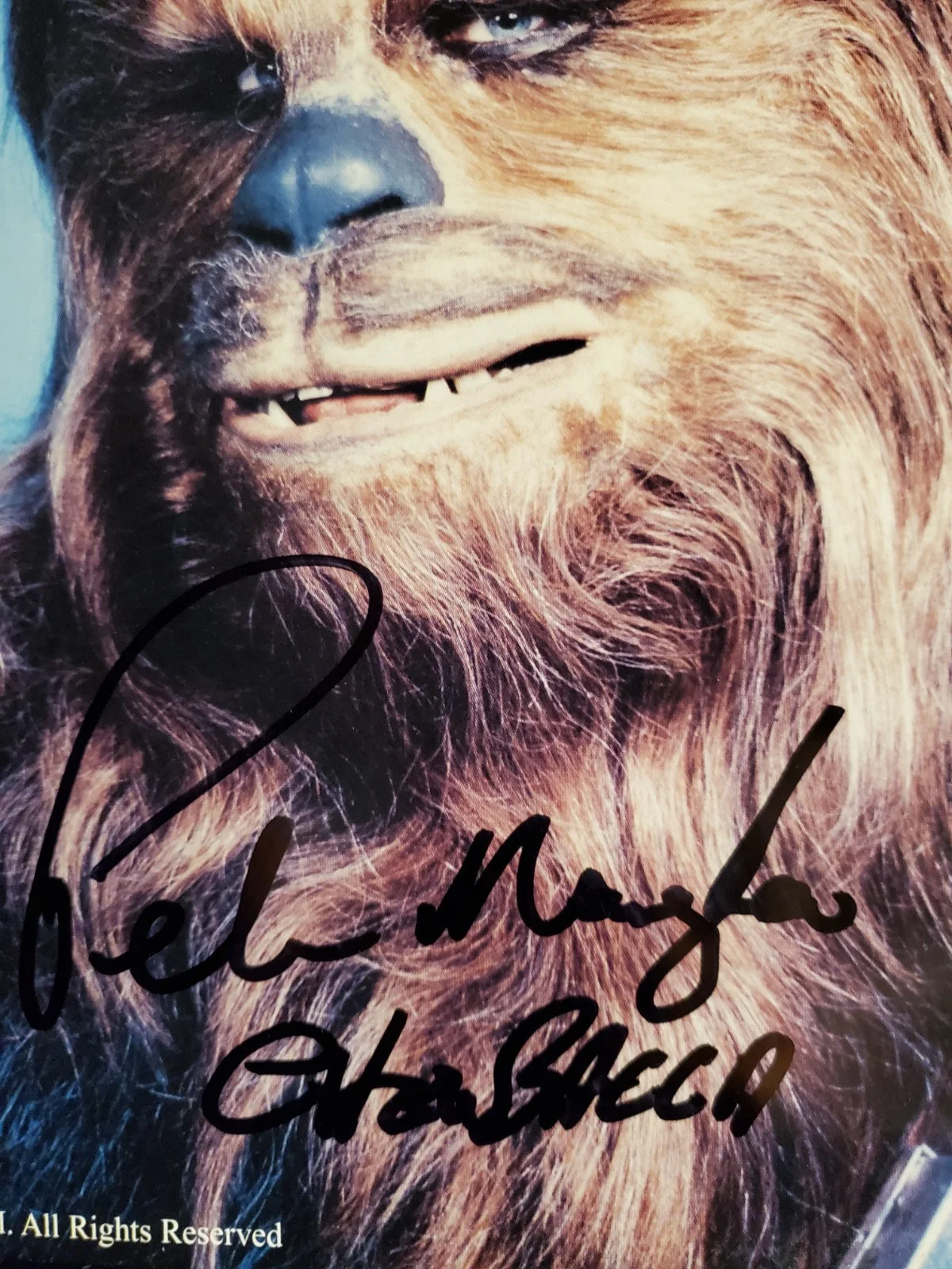 Peter Mayhew — PETER MAYHEW Signed Autograph CHEWBACCA Star Wars 8x10 Photo, image 5