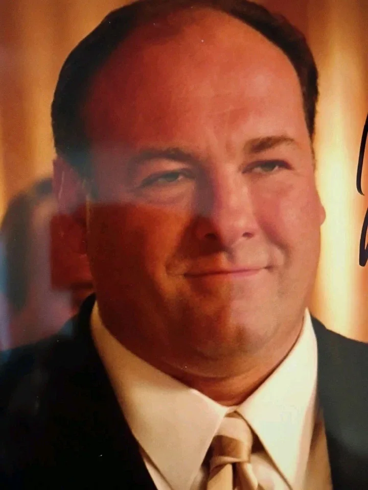 James Gandolfini — James Gandolfini Sopranos Signed 8x10 COA W/Matching Numbered Sticker, image 4