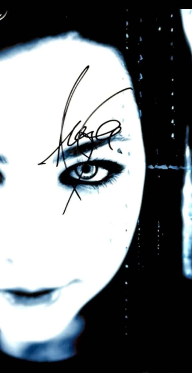 Evanescence Signed Fallen Vinyl Record PSA COA Nice Sig! Immortal, image 2
