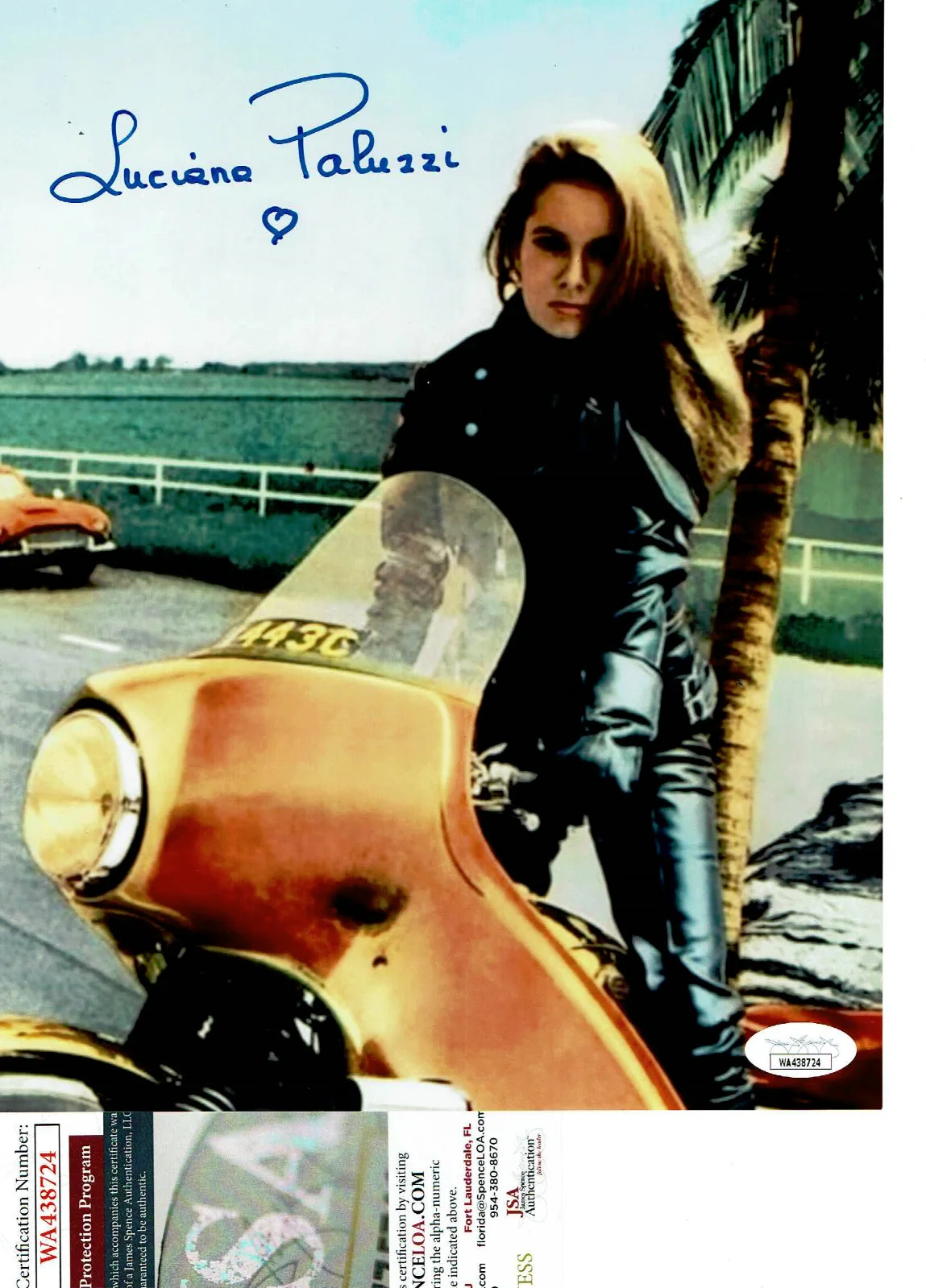 luciana paluzzi — Bond Girl Thunderball - Luciana Paluzzi autographed 8x10 photo JSA Certified