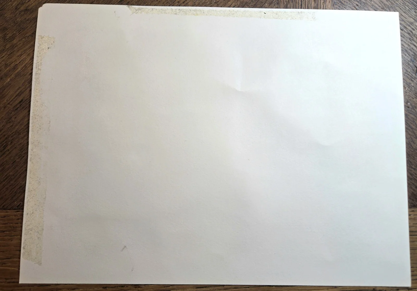 David McPhail — Signed David McPhail Letter w/ Original Art JSA LOA 2007 Children's Author, изображение 5