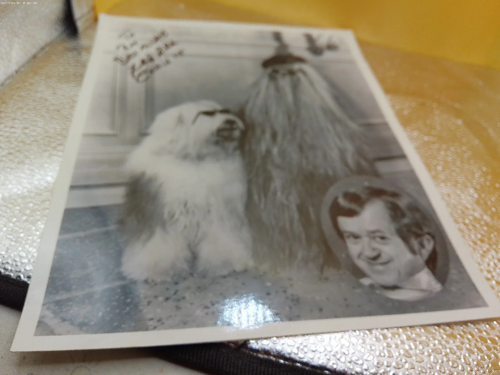 Felix Silla Addams Family Cousin Itt Battlestar Galactica Twiki signed photo, изображение 3