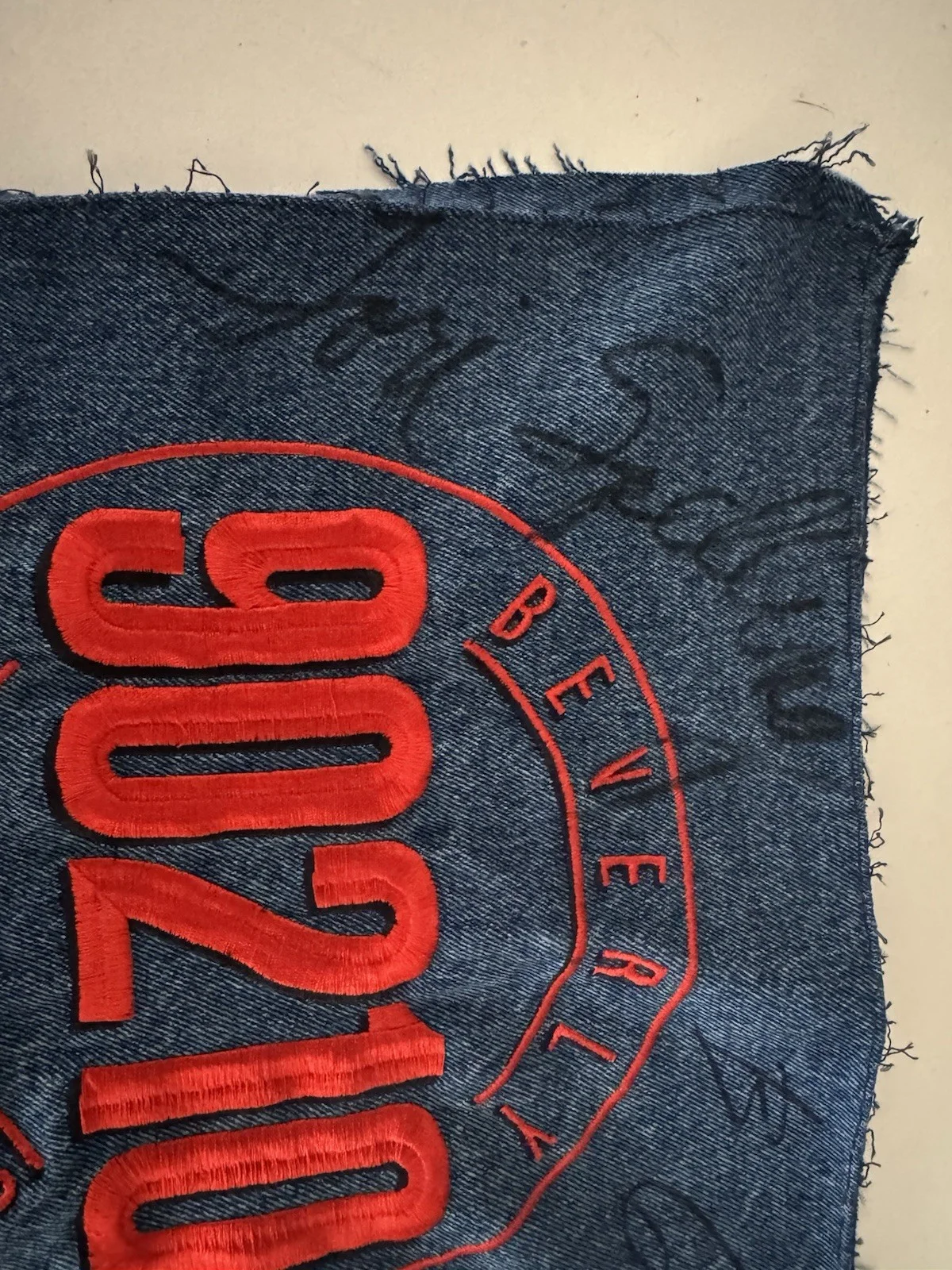 Beverly Hills 90210 signed Embroiderd Patch Tori Spelling Brian Austin Green, image 2