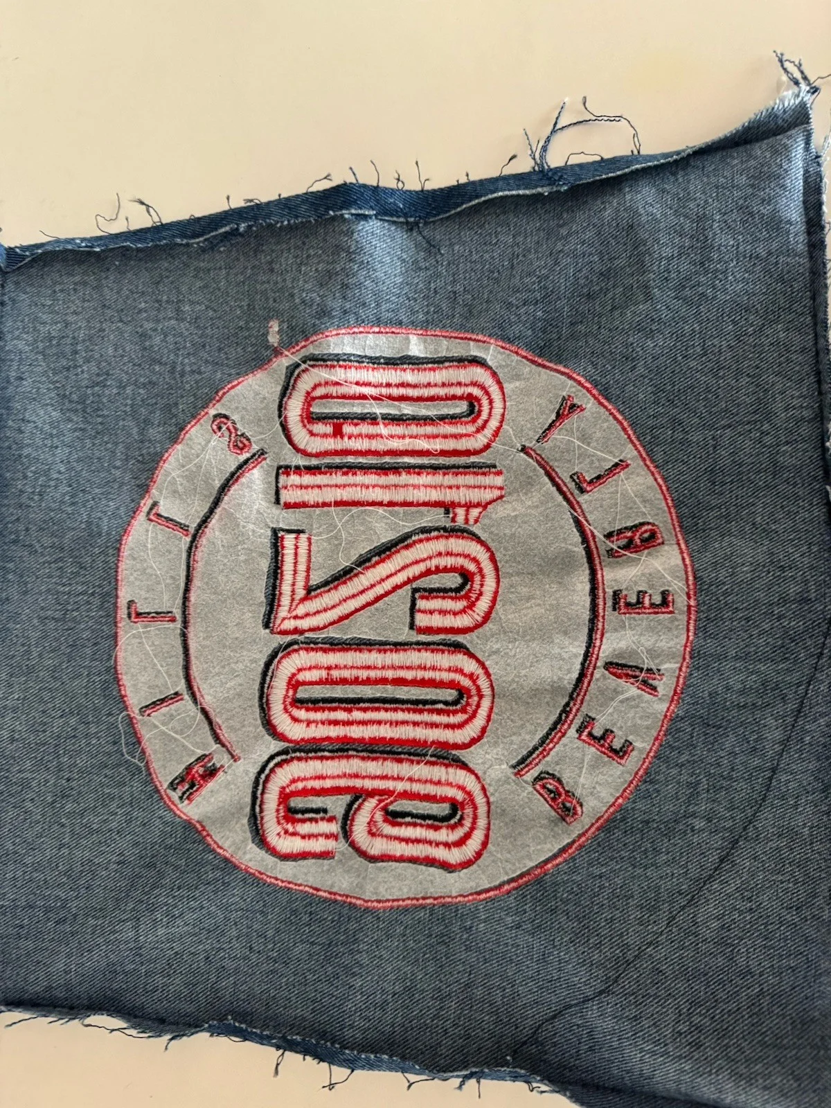 Beverly Hills 90210 signed Embroiderd Patch Tori Spelling Brian Austin Green, image 3