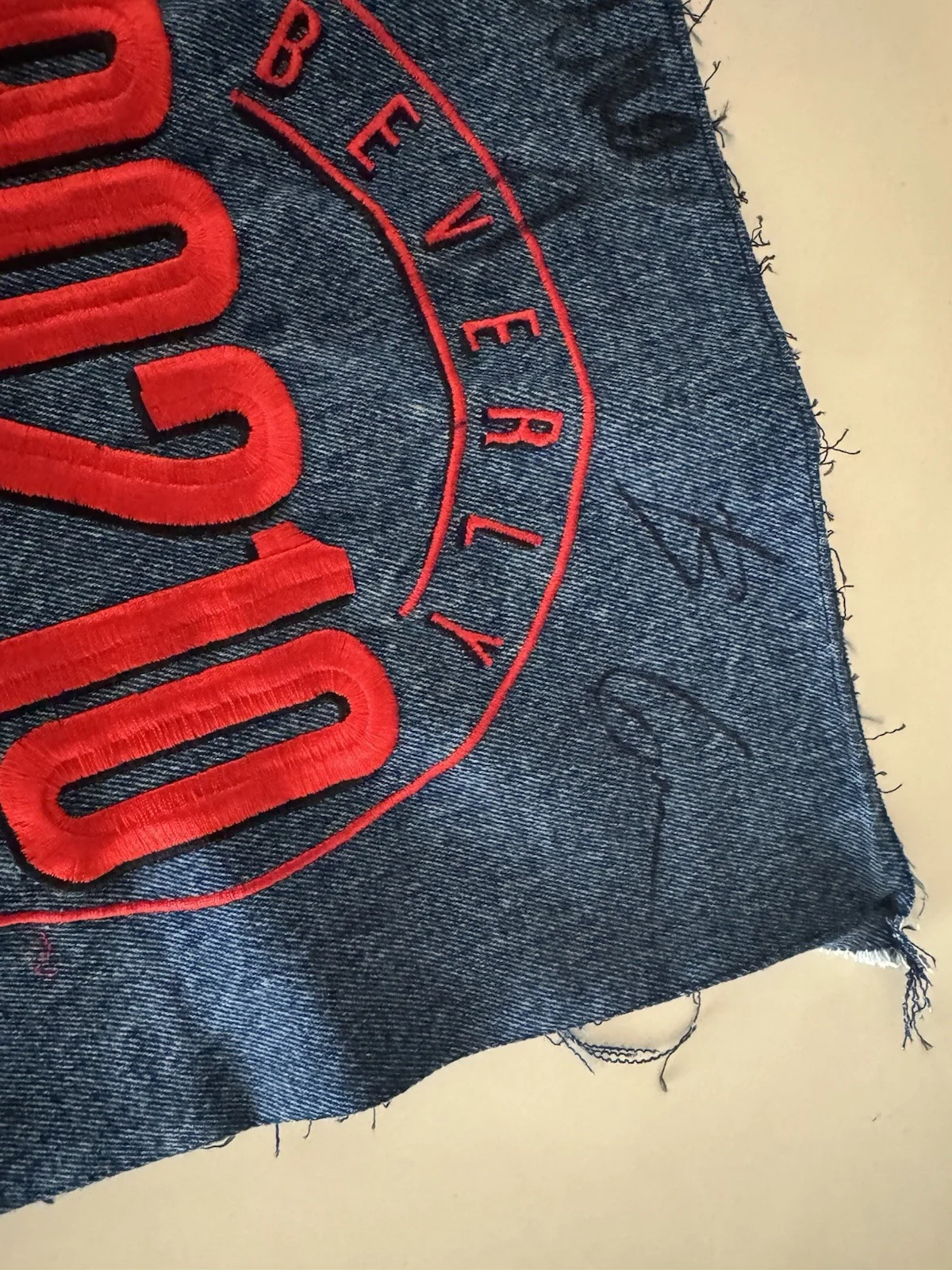 Beverly Hills 90210 signed Embroiderd Patch Tori Spelling Brian Austin Green, image 4