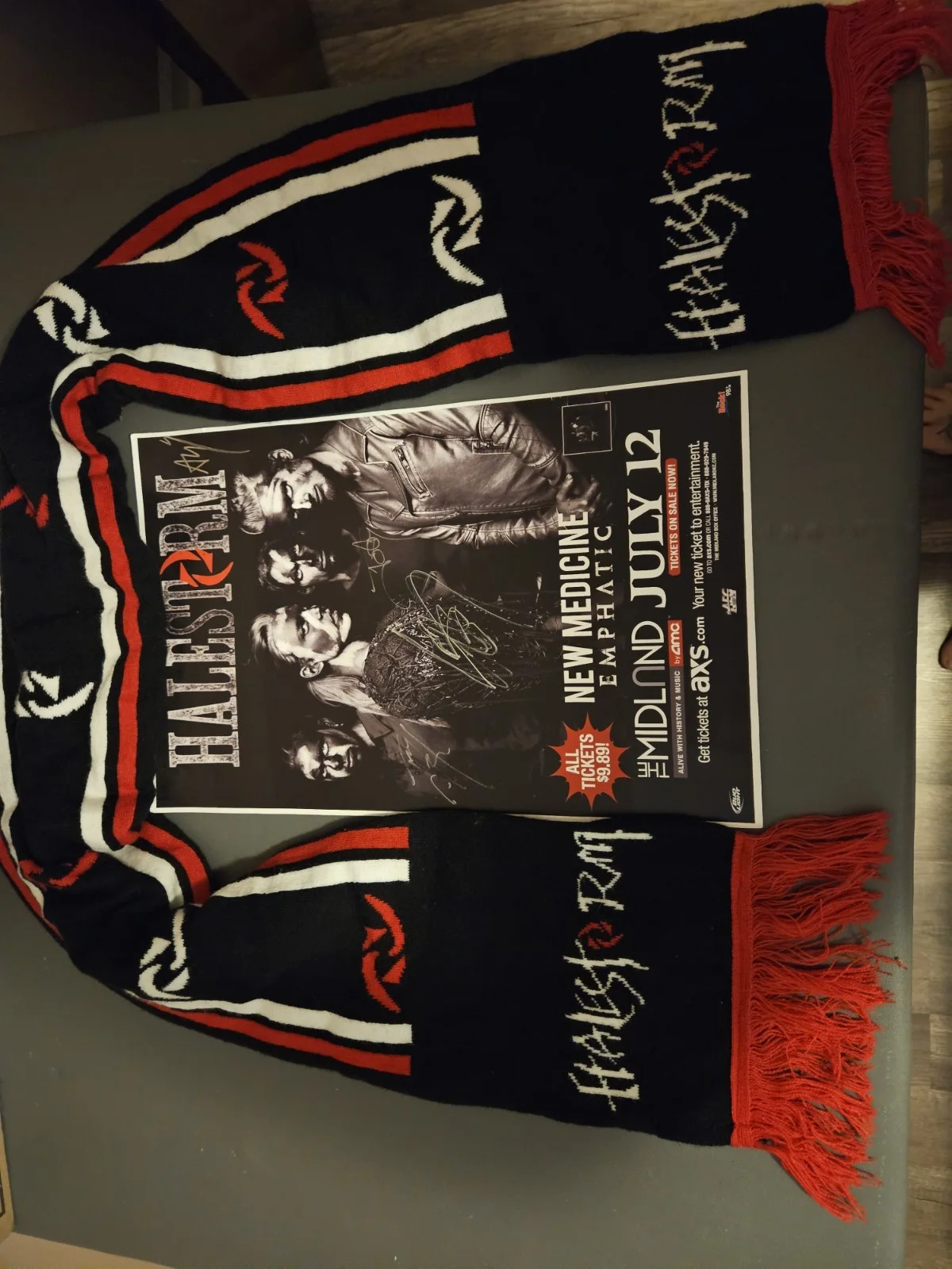 Halestorm 2012 KCMO Signed Promo Poster All Band And VIP Scarf, изображение 4