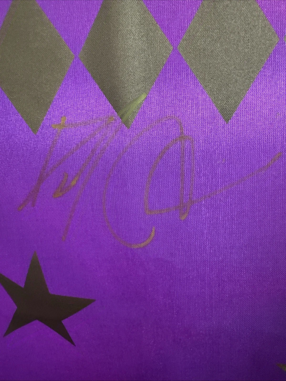 Daniel radcliffe — Daniel Radcliffe Signed Auto Harry Potter 2001 Banner 28x38 with JSA, image 2