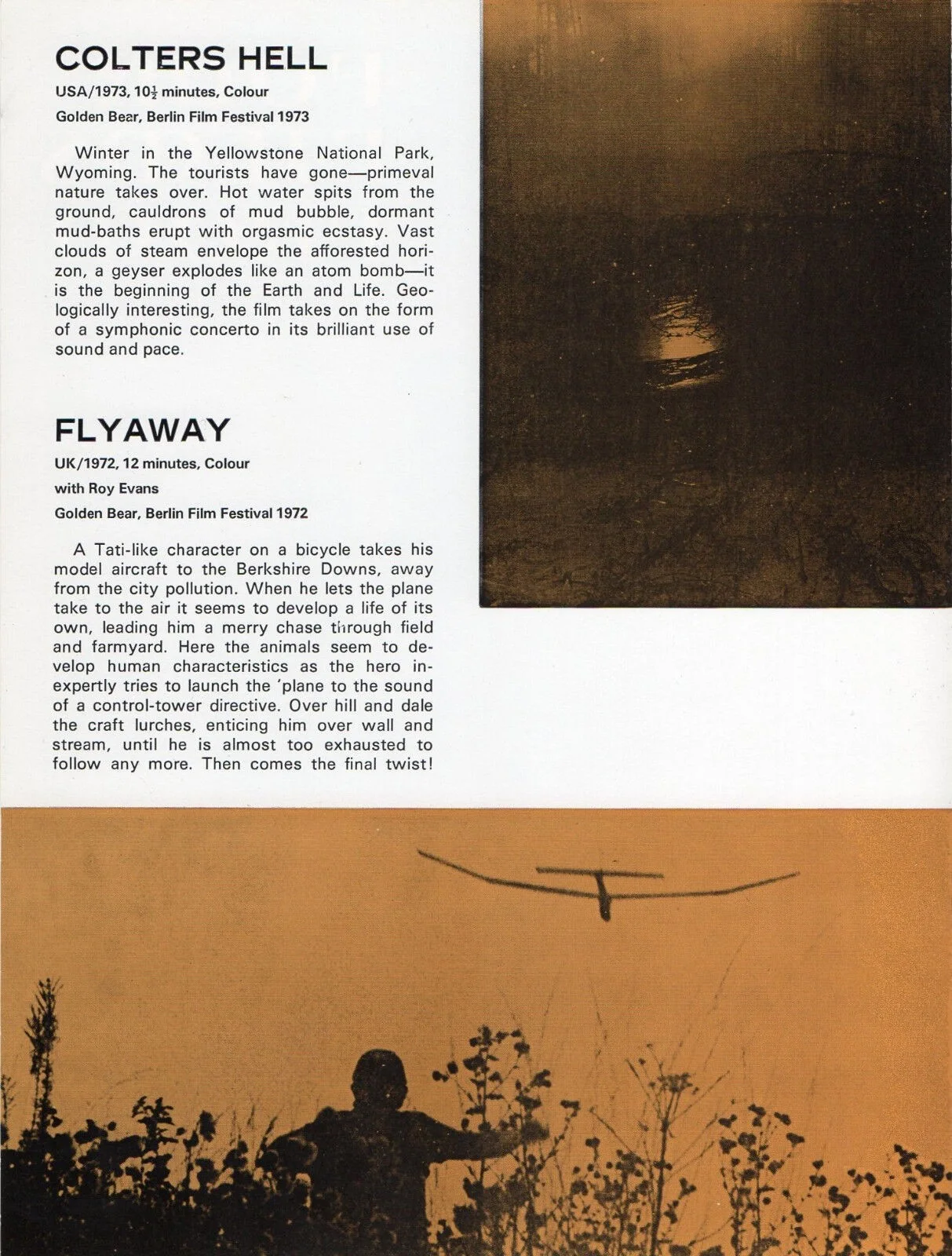 FOUR FILMS FROM ROBIN LEHMAN 1973 COLTERS HELL - FLYAWAY - BROCHURE, image 2
