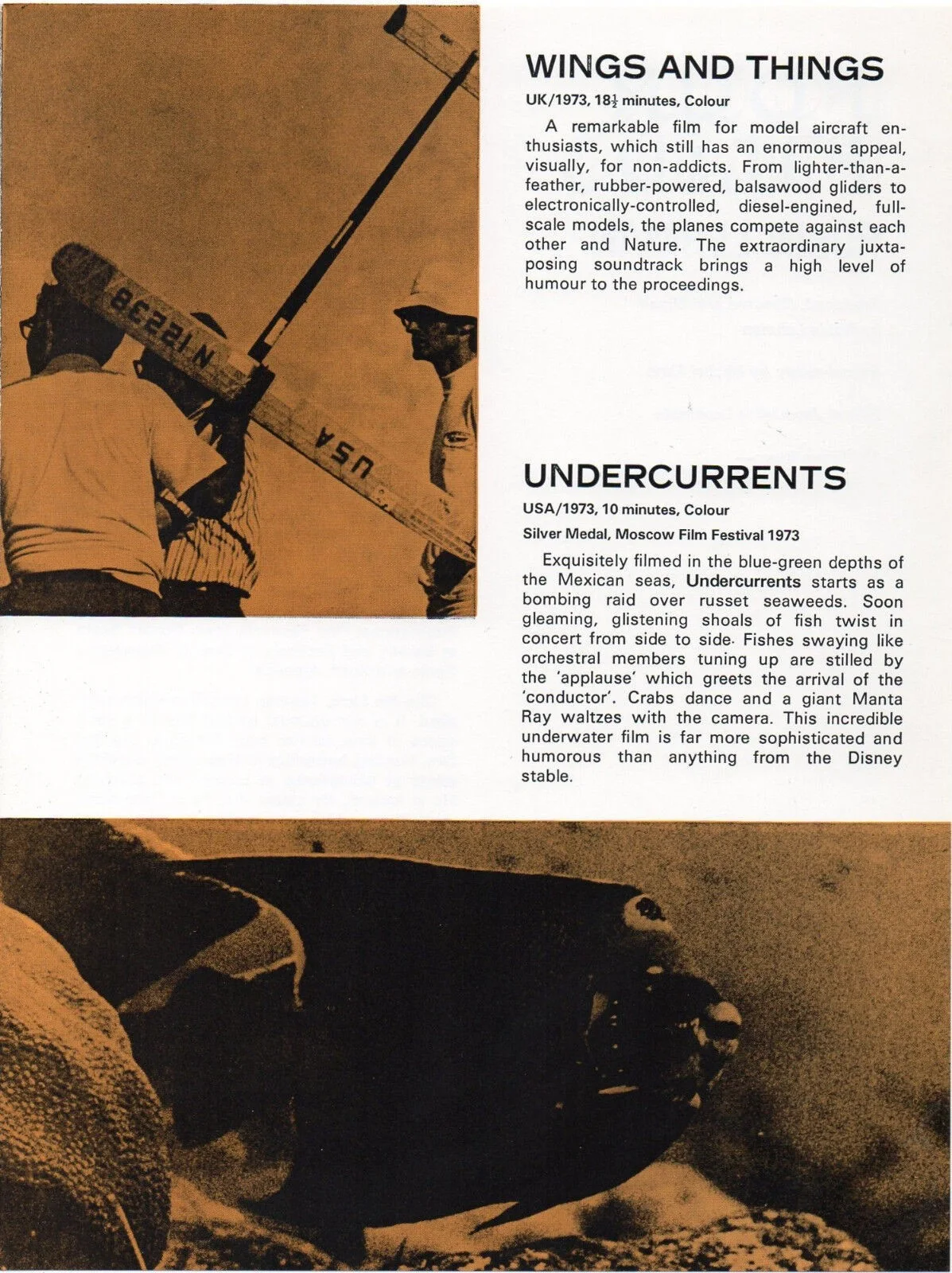 FOUR FILMS FROM ROBIN LEHMAN 1973 COLTERS HELL - FLYAWAY - BROCHURE, image 3